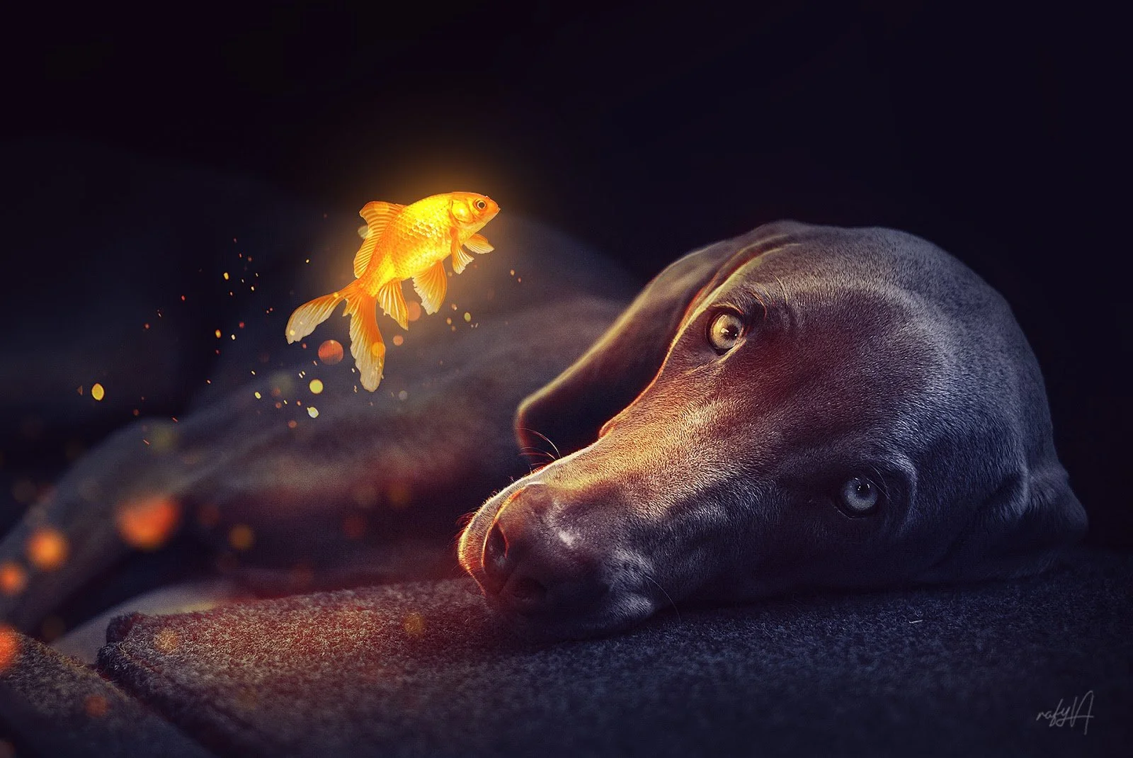 Glowing Goldfish Photo Manipulation Photoshop Tutorial.jpeg