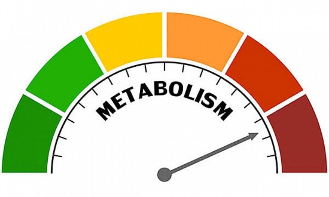 Slow Metabolism Symptoms And Actions To Take FuadFit slow-metabolism-symptoms-and-actions-to-take-fuadfit