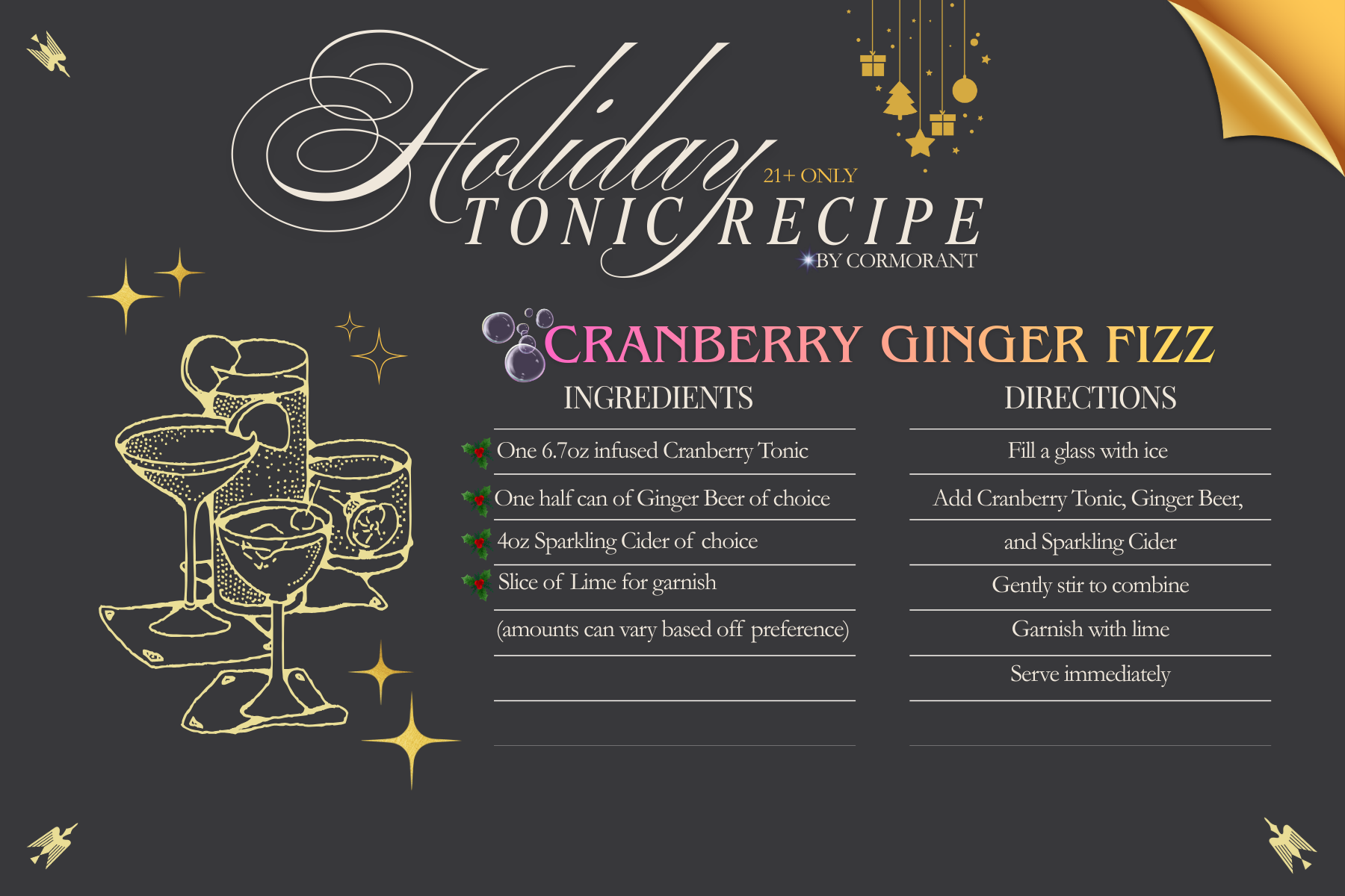 Holiday Tonic Recipe Cranberry Ginger Fizz.png