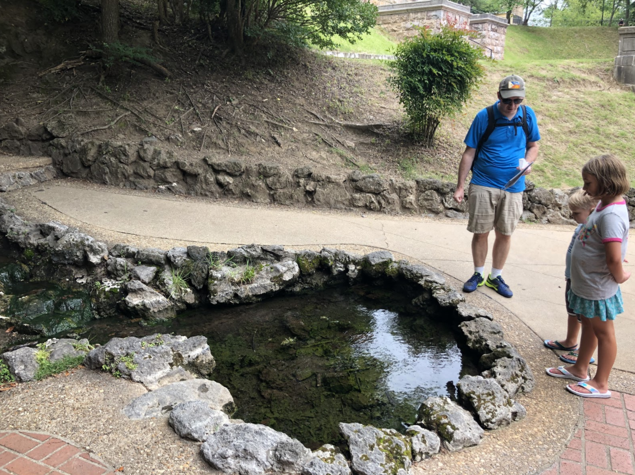 Cautiously exploring The Display Spring, photo by Karen Boudreaux, 6/17/19