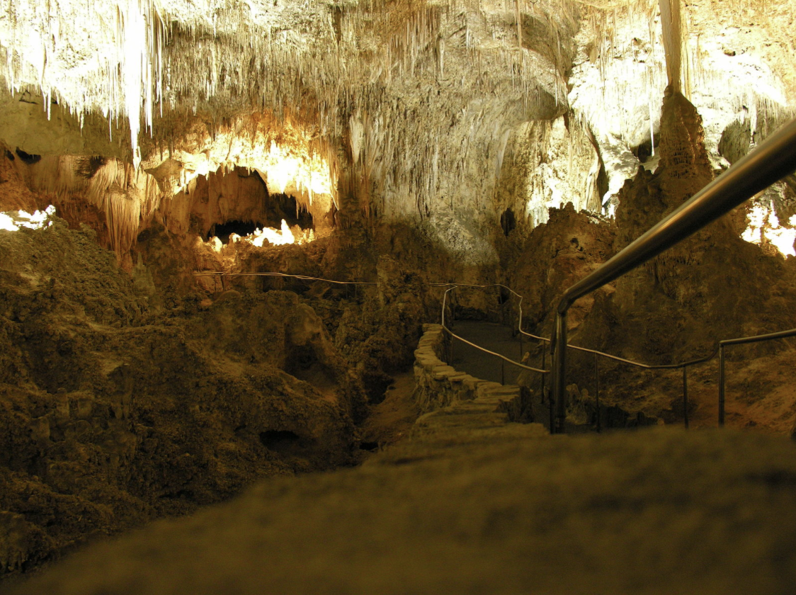 Carlsbad Caverns - Coveredinsevindust at English Wikipedia, CC BY-SA 3.0 &lt;https://creativecommons.org/licenses/by-sa/3.0&gt;, via Wikimedia Commons