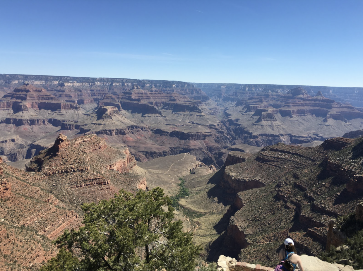 View from the top of the Bright Angel Trail, photo by Karen Boudreaux, 6/2/16