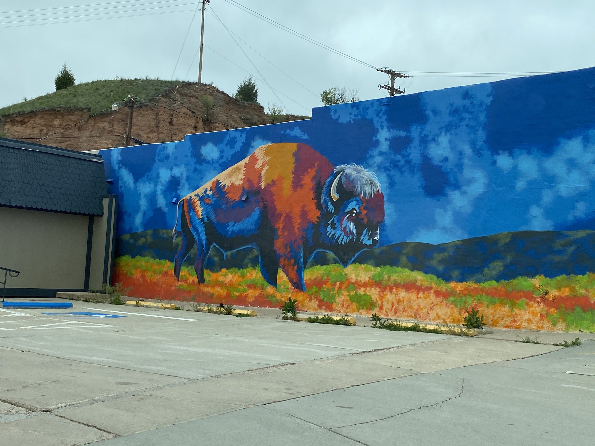 Amazing bison mural in Hot Springs, SD.  Photo by Karen Boudreaux 5/27/21