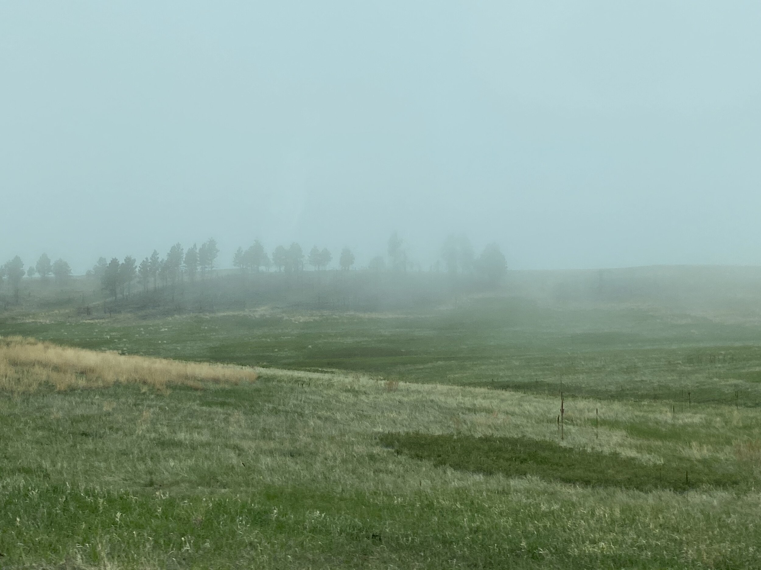Foggy day for driving to check out the views.  Photo by Karen Boudreaux, 5/27/21