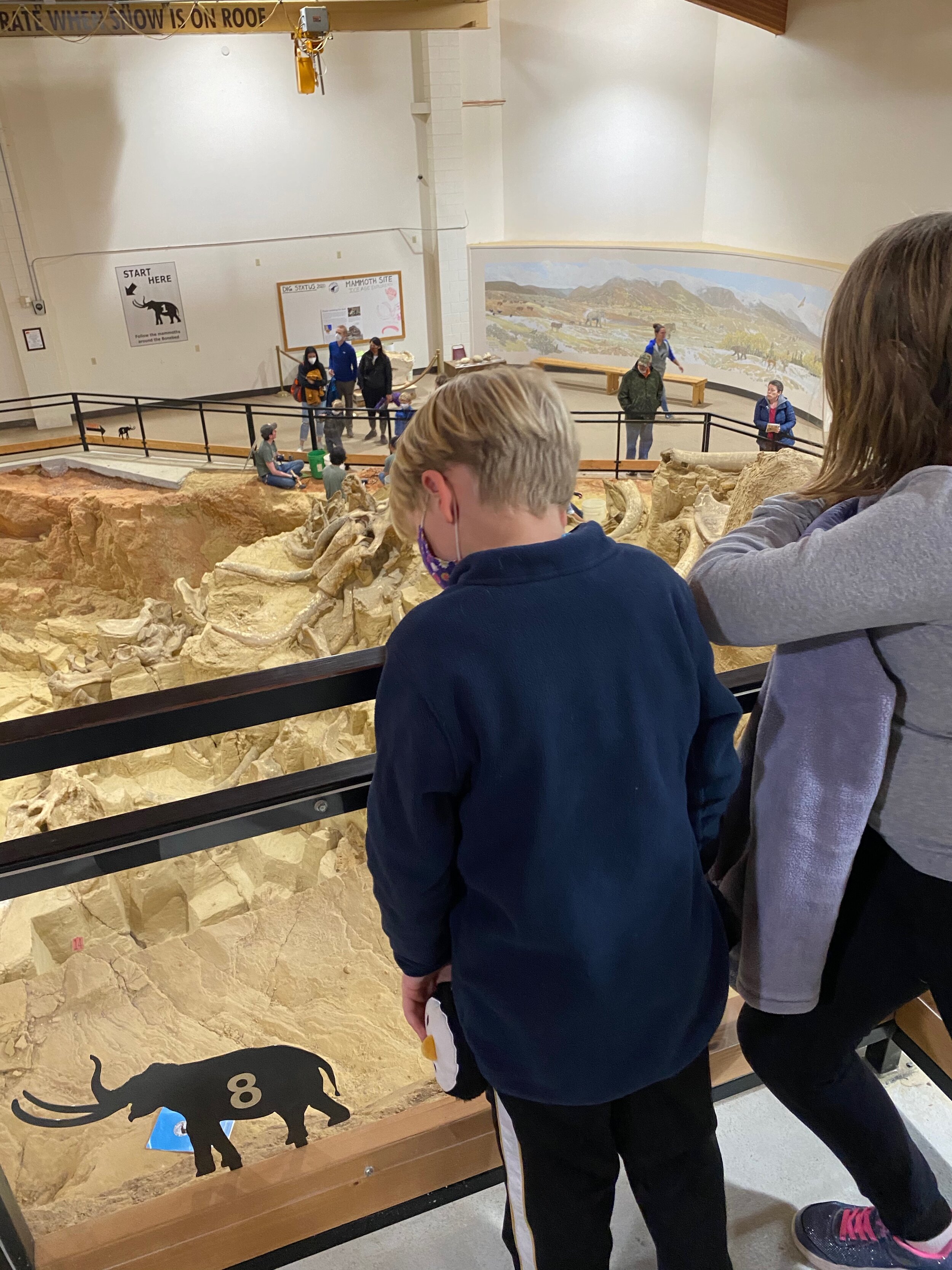 The kids take it all in at The Mammoth Site.  Note the tusks still connected to the skull just to the left of Popcorn’s head in this picture… apparently that was very rare and the tusks usually fell out.   Photo by Karen Boudreaux, 5/27/21