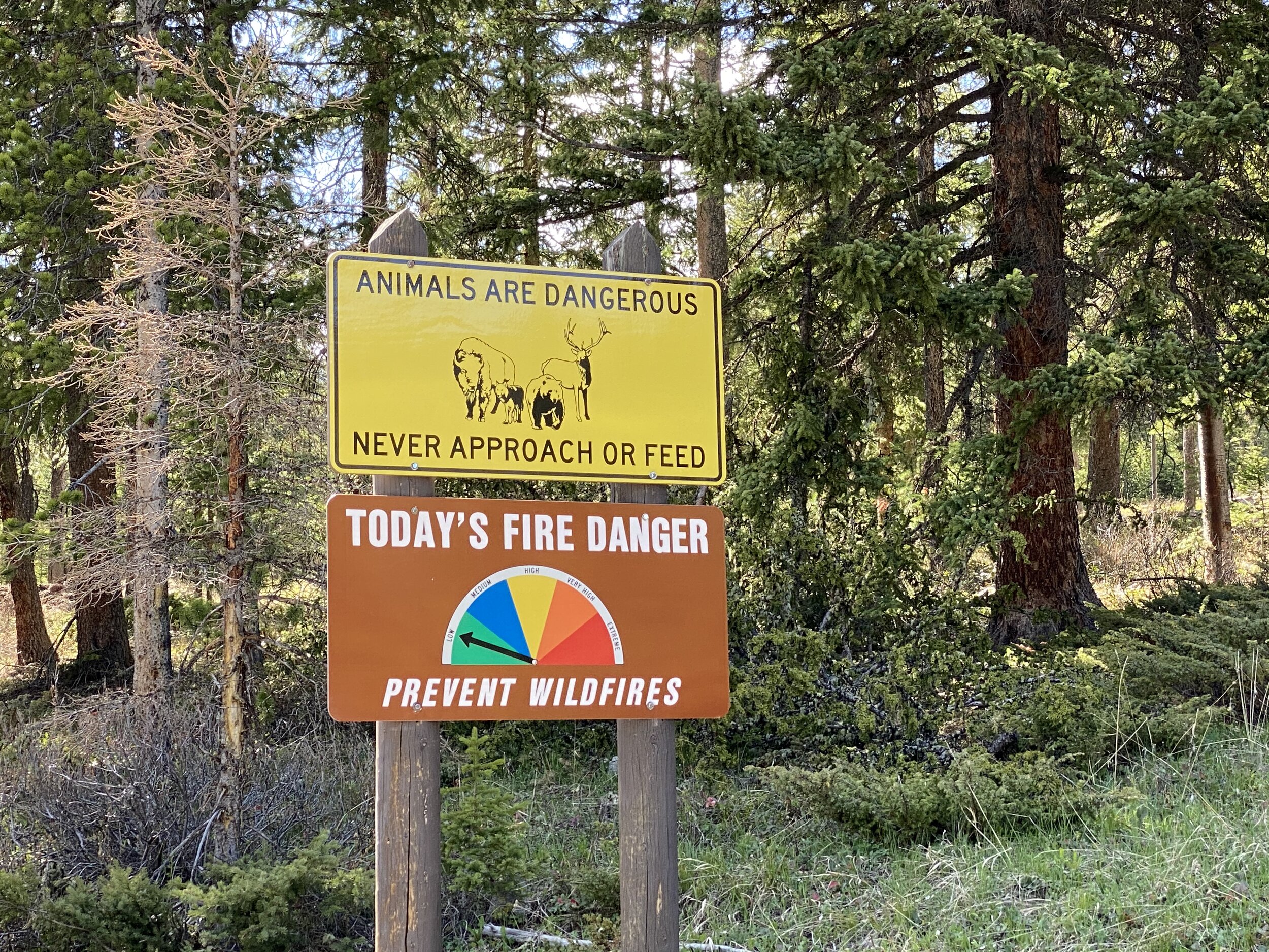 Animals are Dangerous Sign, one of many all over YNP.  Photo by Karen Boudreaux, May 29, 2021