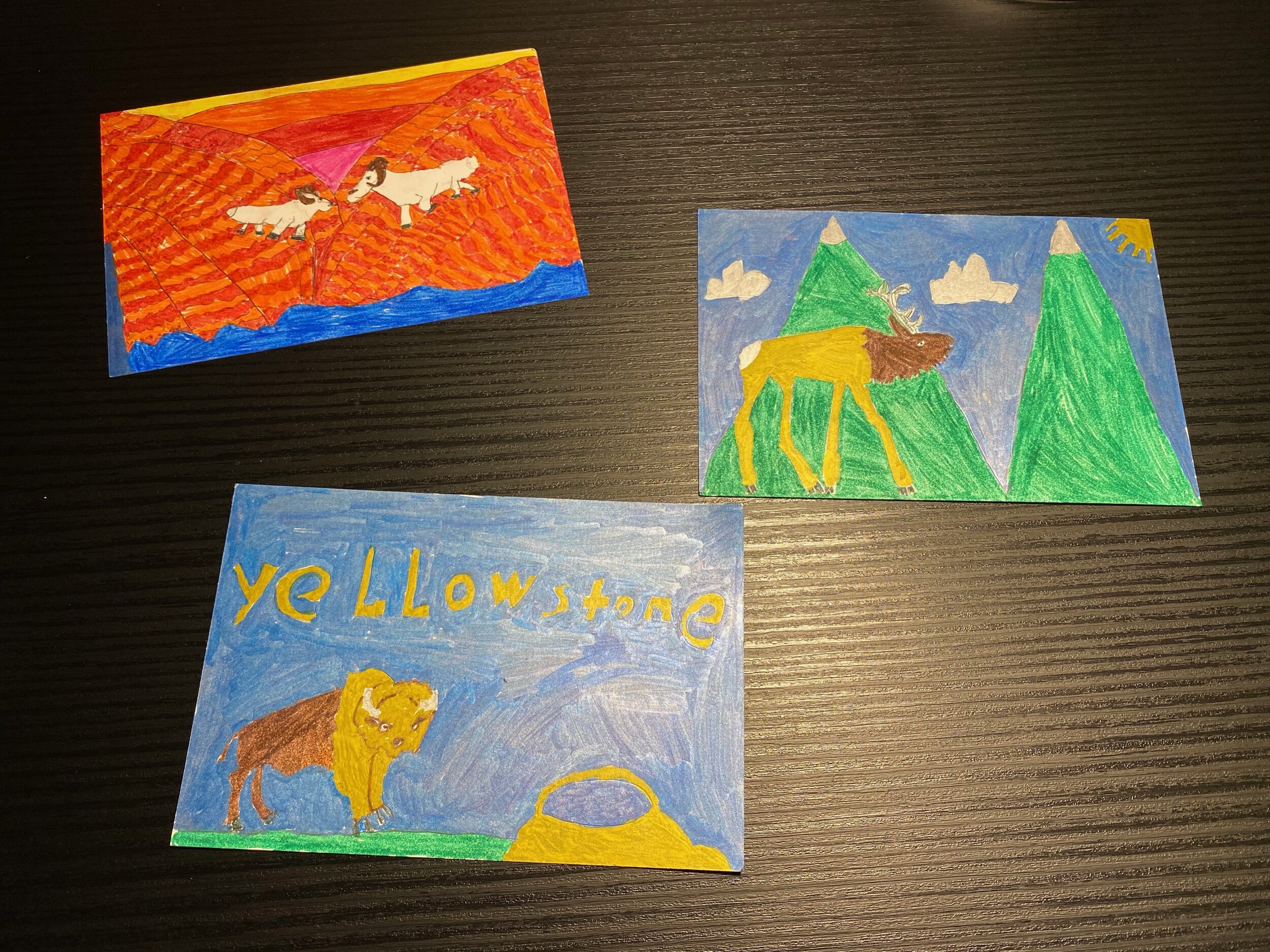Some of Bunny’s amazing work drawing and coloring her own postcards of bighorn sheep, an elk, and a bison in Yellowstone.  This artwork is entirely her own, please do not share without contacting us first.