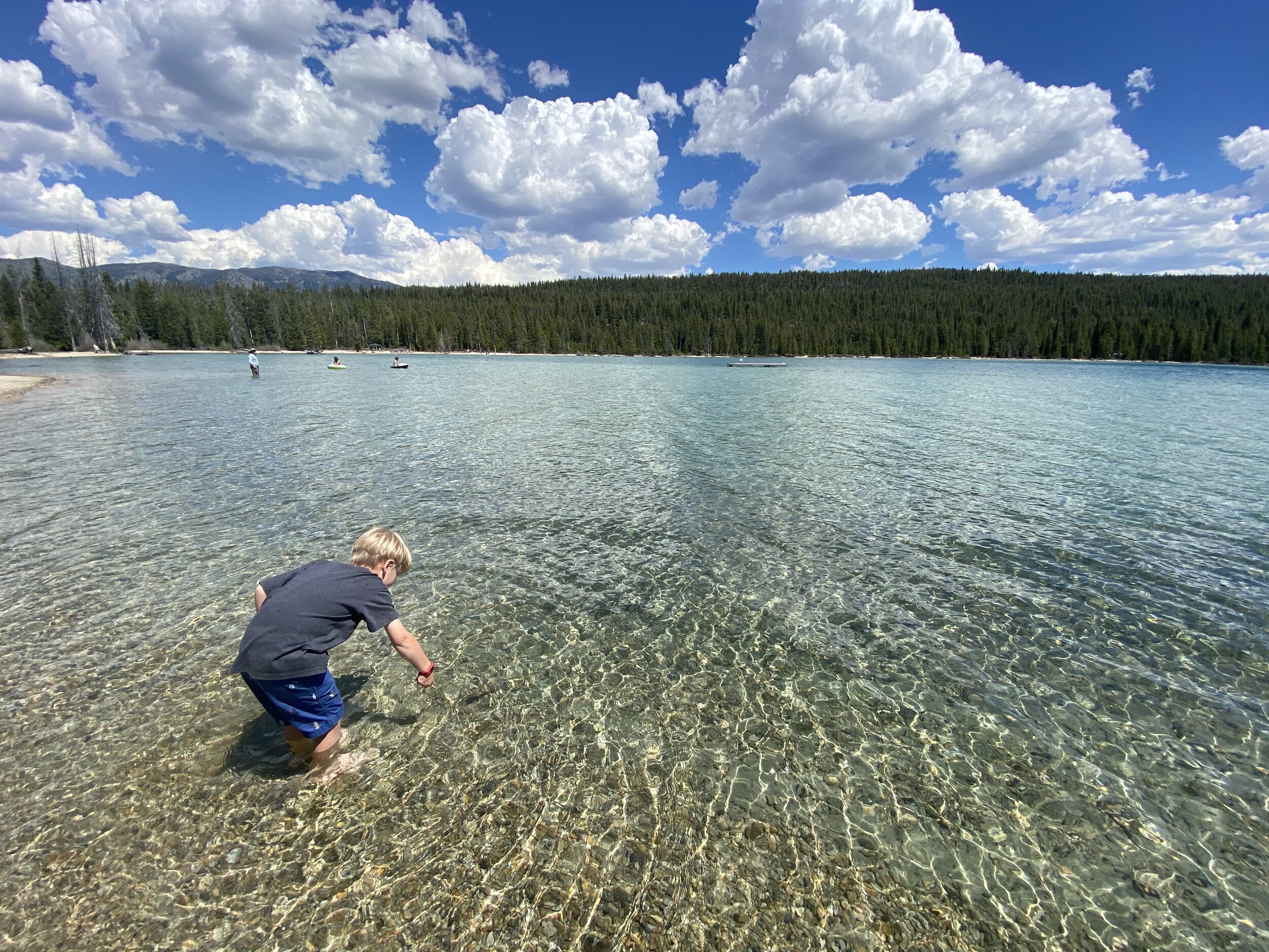 Popcorn plays in Redfish Lake in the Sawtooth Mountains.  Photo by Karen Boudreaux, June 3, 2021