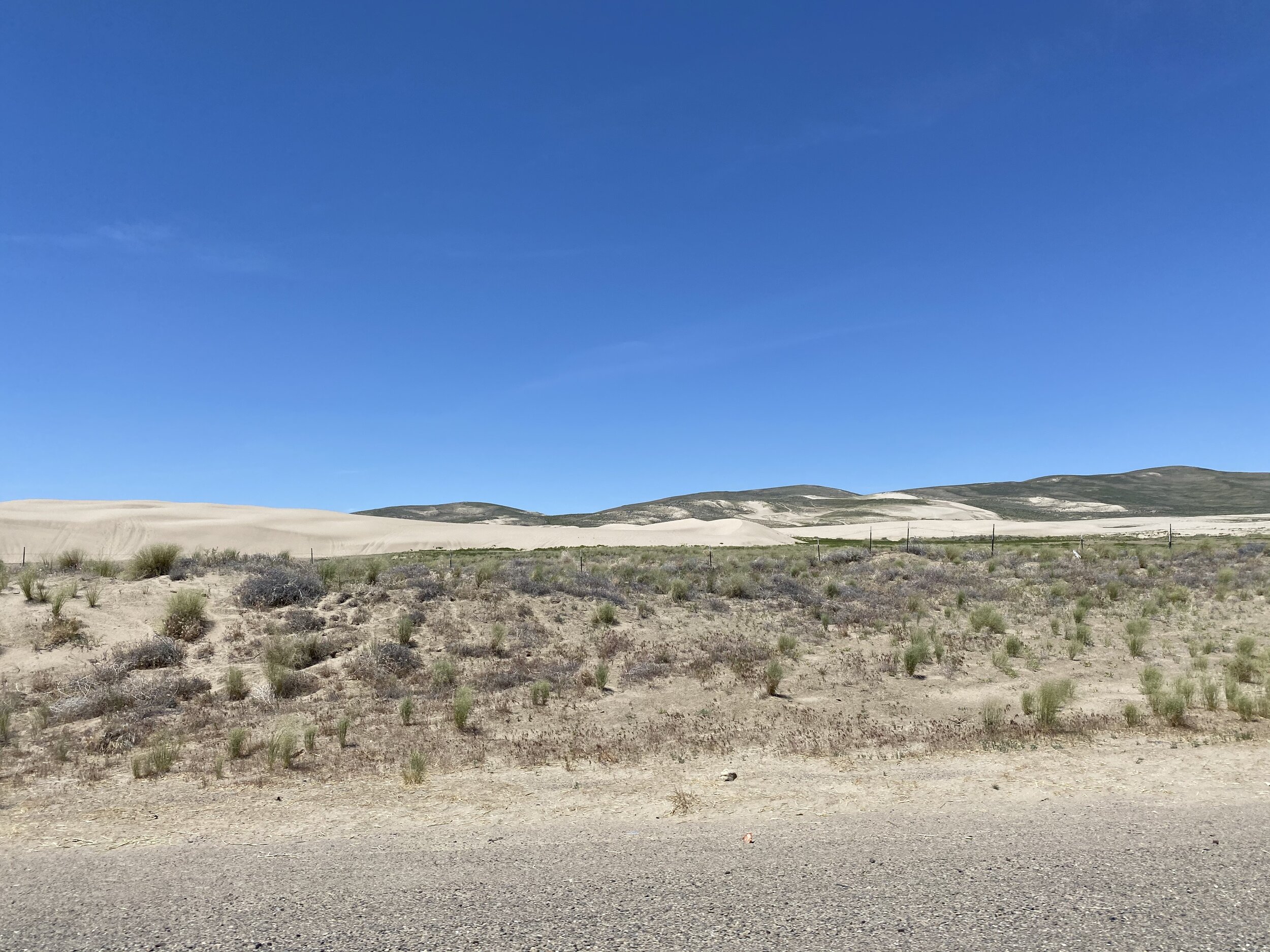 This small stretch of sand dunes near Winnemucca, Nevada was pretty cool!  Photo by Karen Boudreaux, June 4, 2021