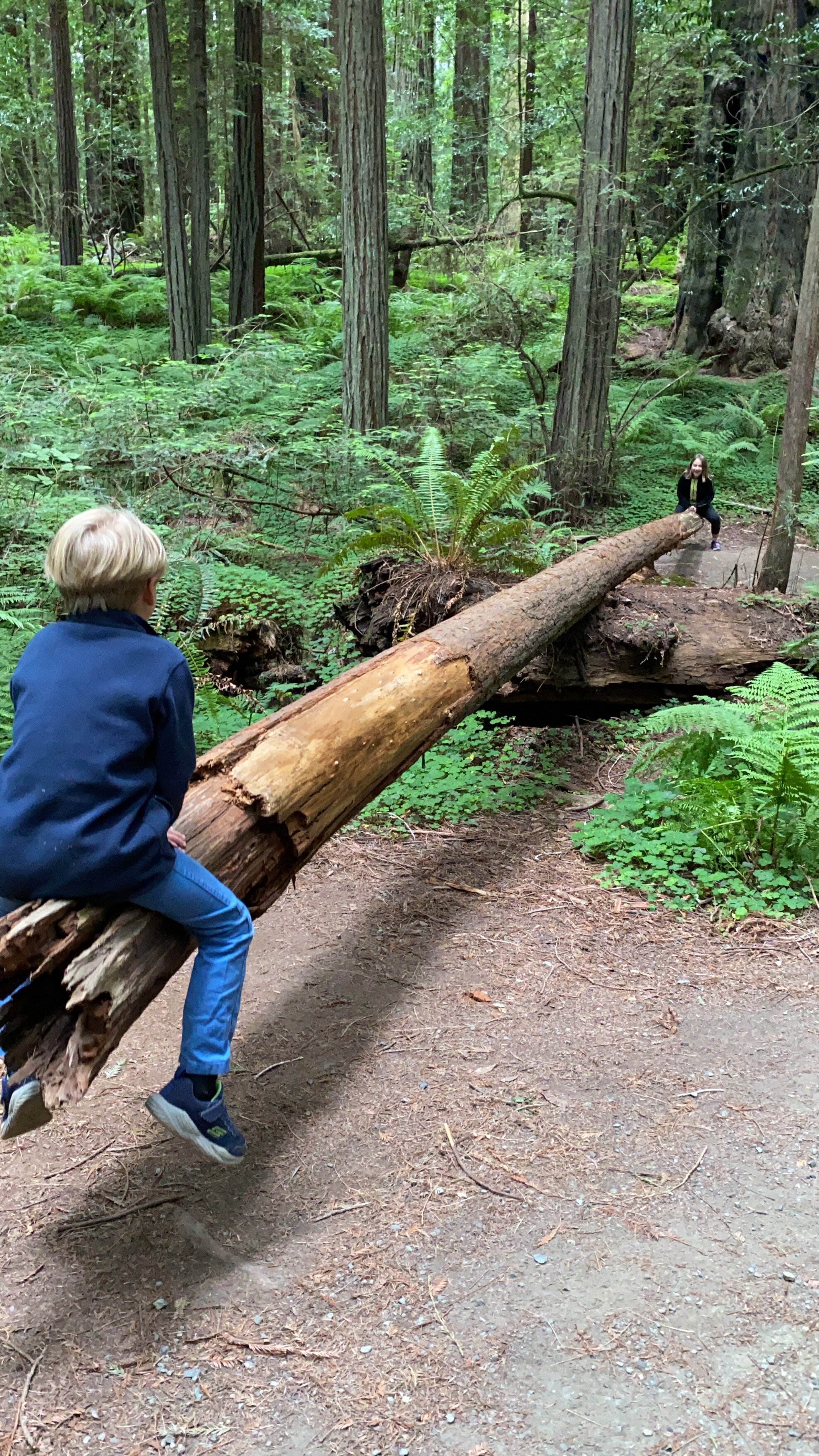 How often do you get the chance to ride a redwood seesaw?!  Photo by Karen Boudreaux, June 11, 2021