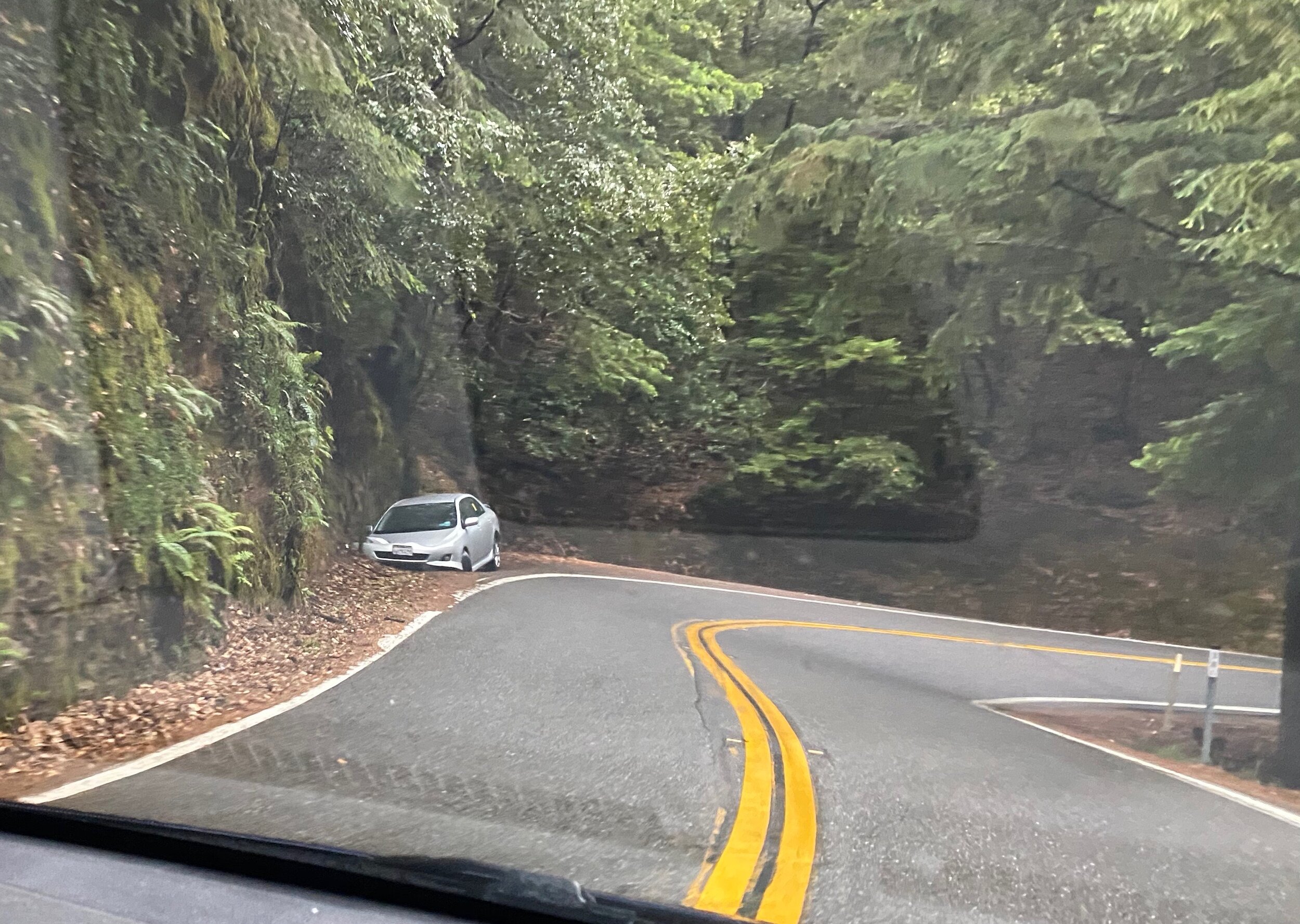 A good lesson for why it’s important to slow down around sharp curves, that car is really smashed in there if you look closely.)  Photo by Karen Boudreaux, June 11, 2021