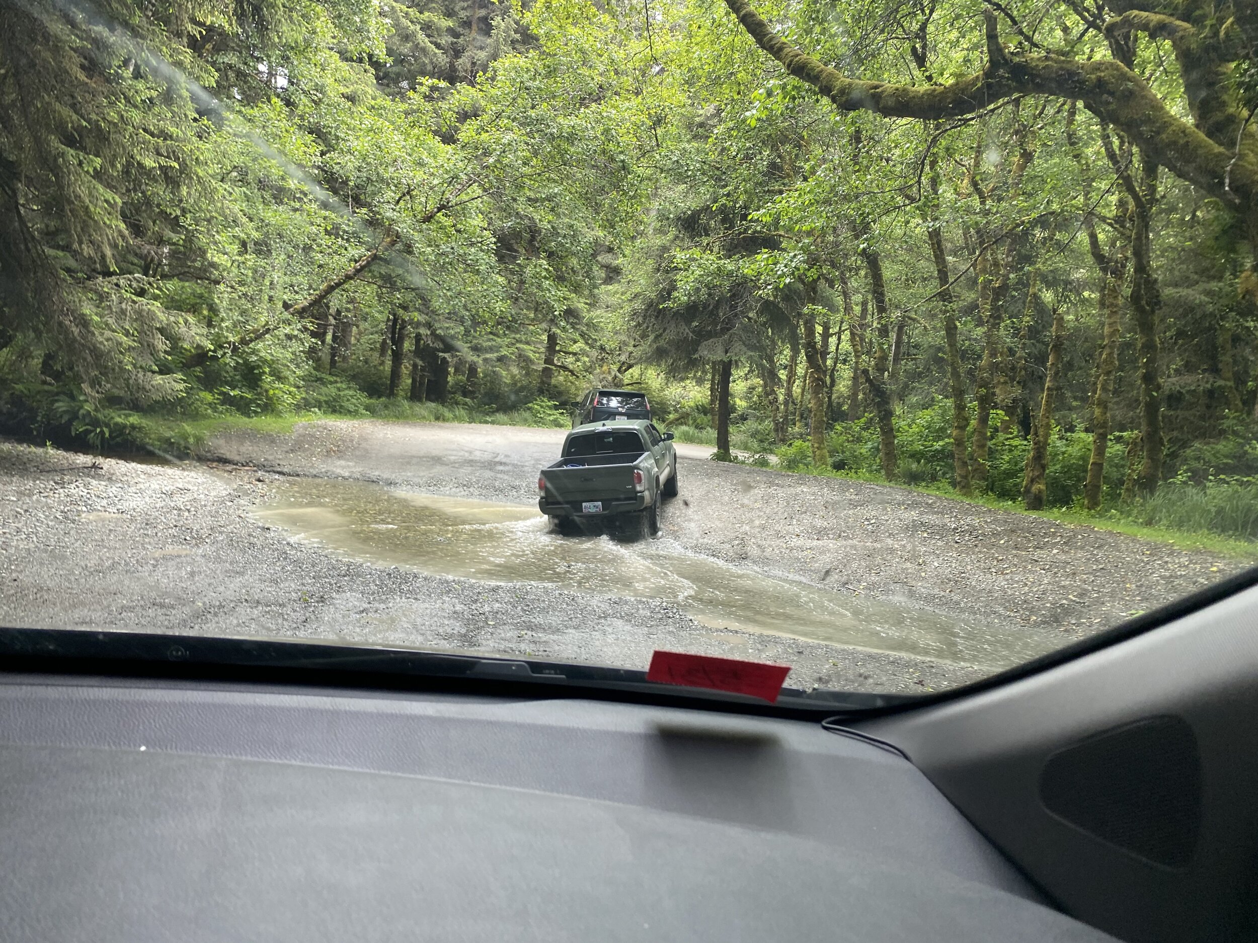 Watching the strategy of cars ahead of us to see the best angle to cross one of the water crossings on the road to Fern Canyon.  Photo by Karen Boudreaux, June 12, 2021