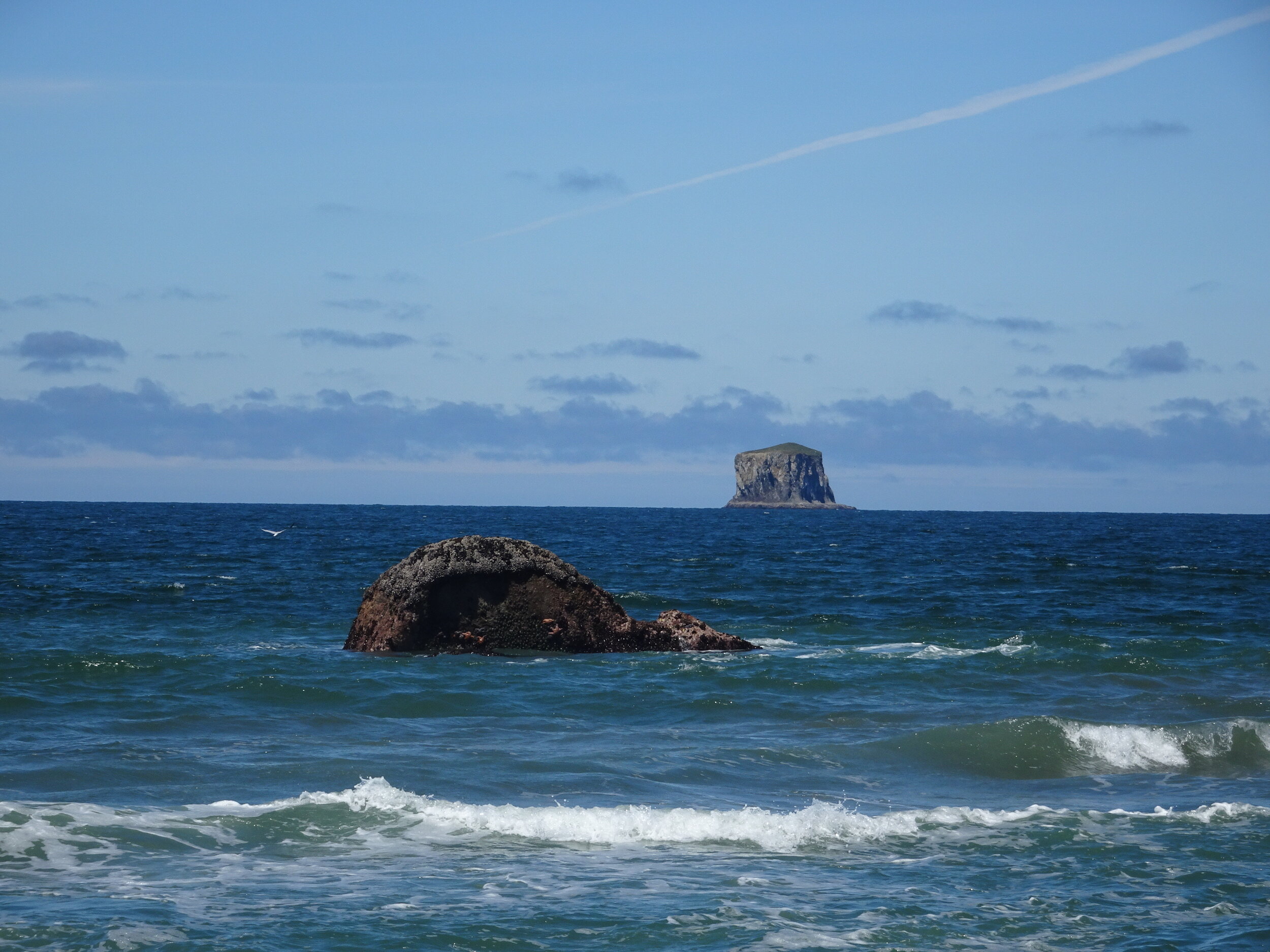 One of many gorgeous views from Rialto Beach (there are sea stars on the rock in the forefront, a closer picture zoomed in will be further below.)  Photo by Karen Boudreaux, June 17, 2021