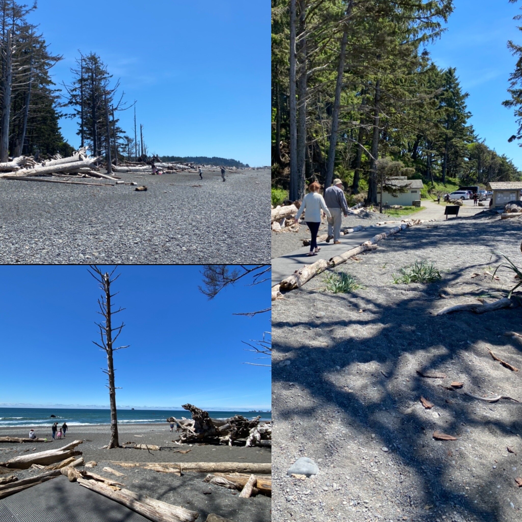 A collage showing the actual opening between the beach and the parking lot that we found later (and are sharing so you can learn from our mistake.)  The top left is the view from the beach, which is still hard to see with the driftwood, but if you look for the opening in the trees, it’s easier to find.  Photo by Karen Boudreaux, June 17, 2021