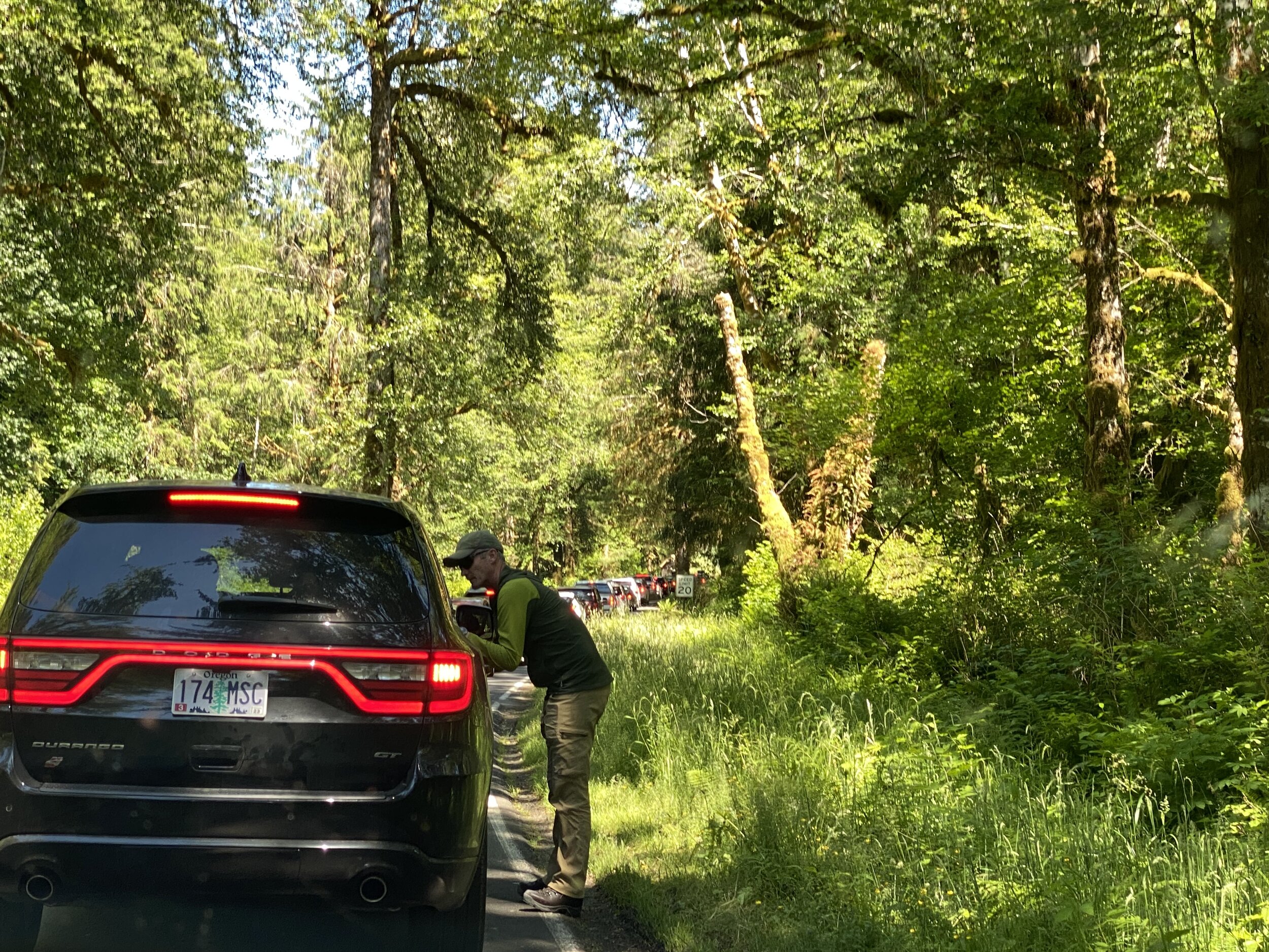 The line into the Hoh Rainforest once full and controlling one car in for one car out.  Photo by Karen Boudreaux, June 17, 2021