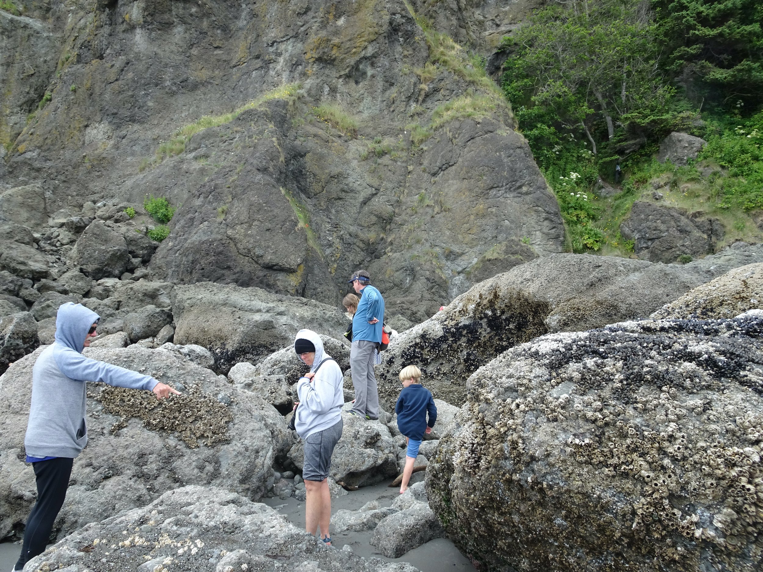 Here are some of the boulders we climbed on for greater access to additional views