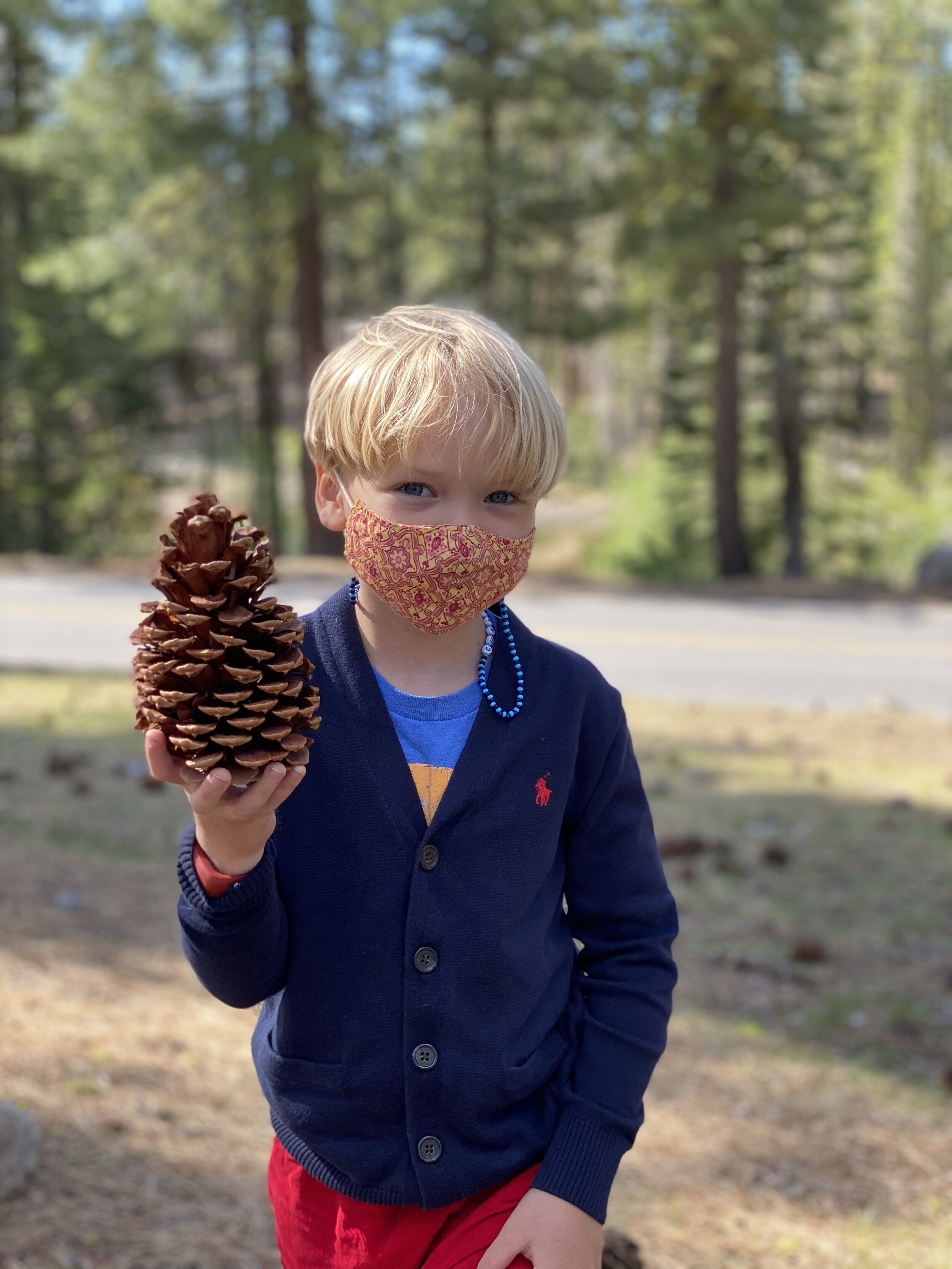 Popcorn was obsessed with these huge pinecones by the Loomis Museum in the Manzanita and Summit Lake Areas.  Photo by Karen Boudeaux, June 8, 2021
