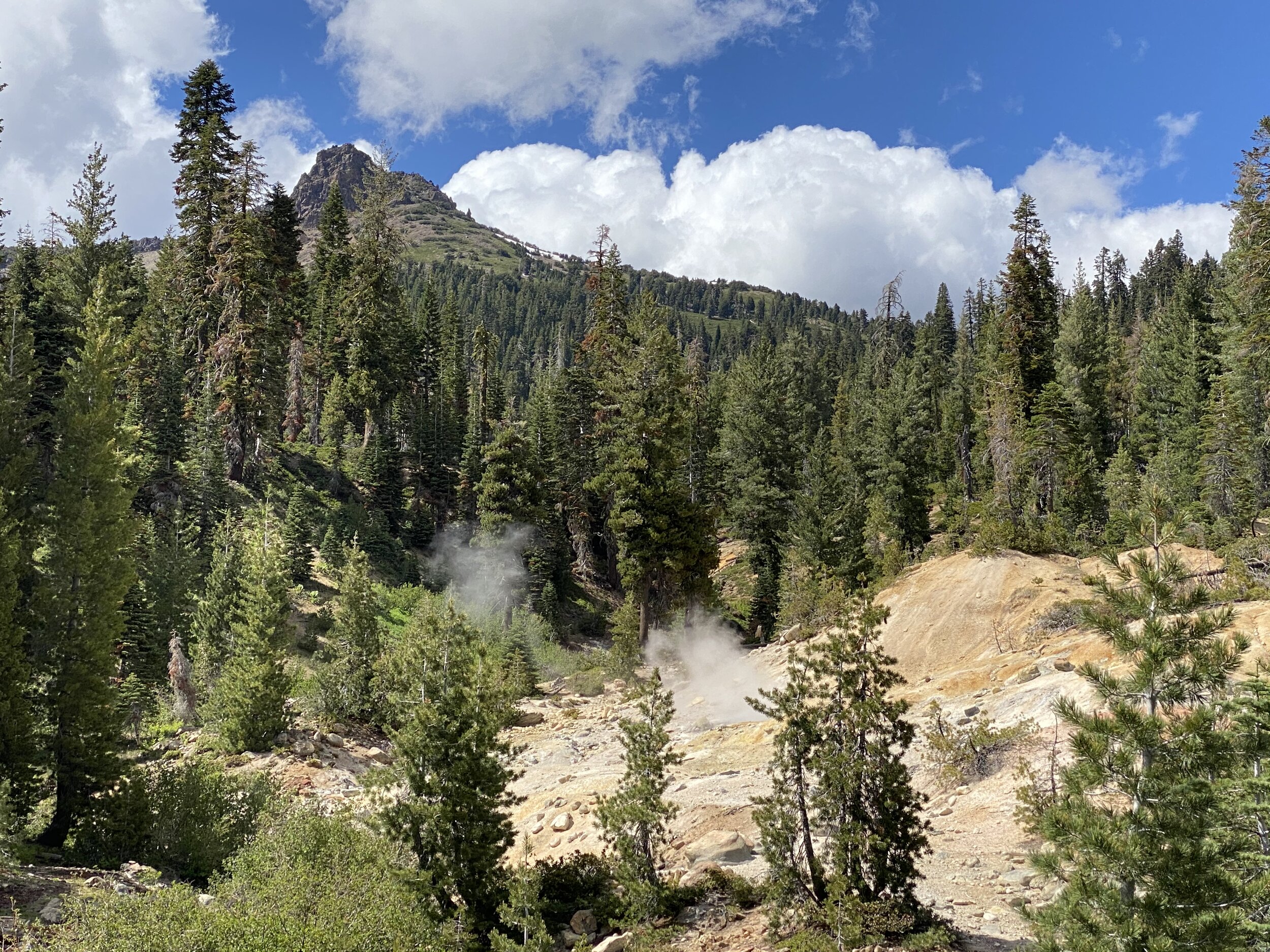 Gorgeous mountain and forest views beyond the smoking thermal features at Sulphur Works.  Photo by Karen Boudreaux, June 8, 2021