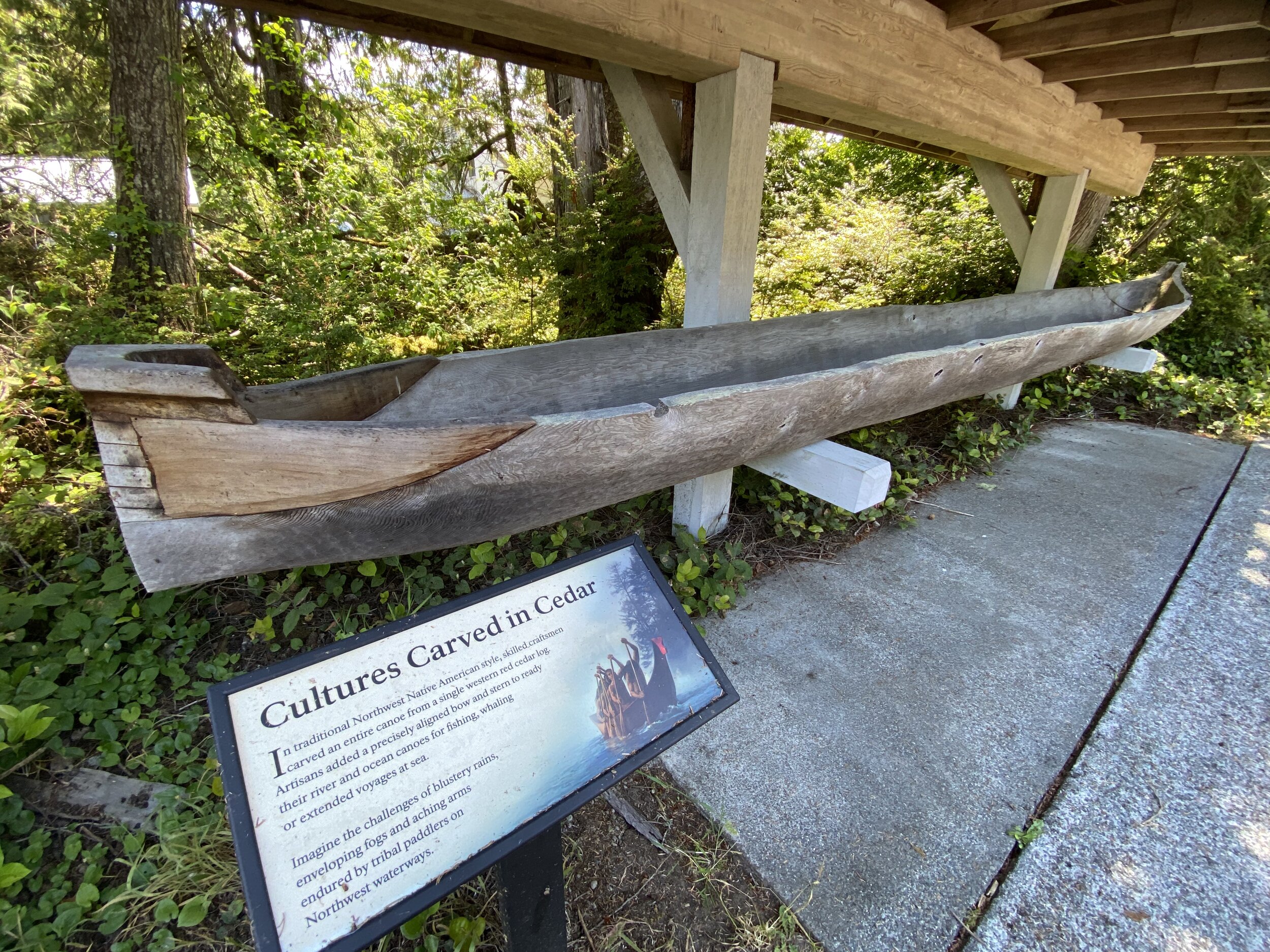A traditional native canoe carved out of one giant red cedar (at the ranger station)