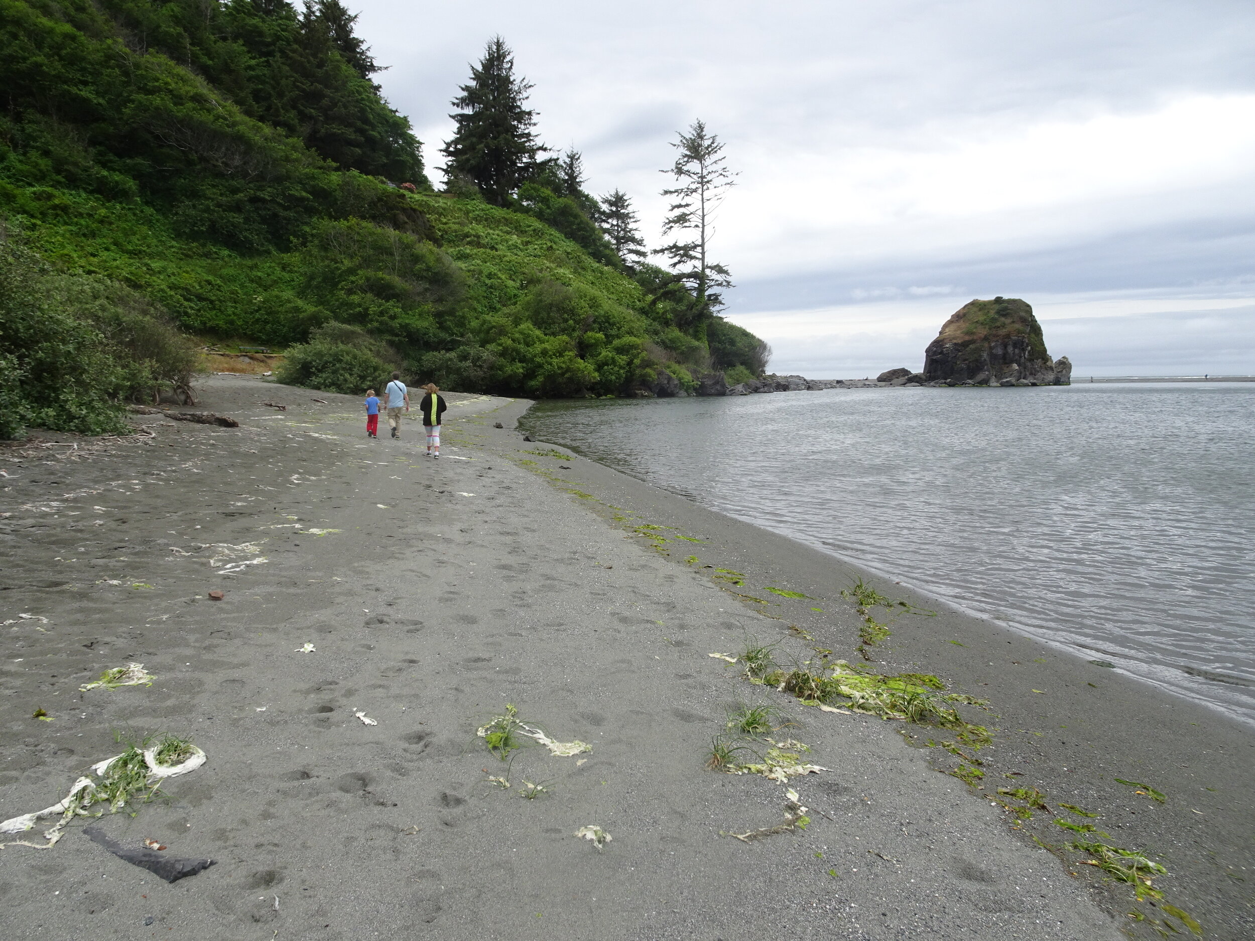 The beach along the Yurok Ceremonial Grounds.  We just need to get on the other side of that greenery to get to the beach we want to go to