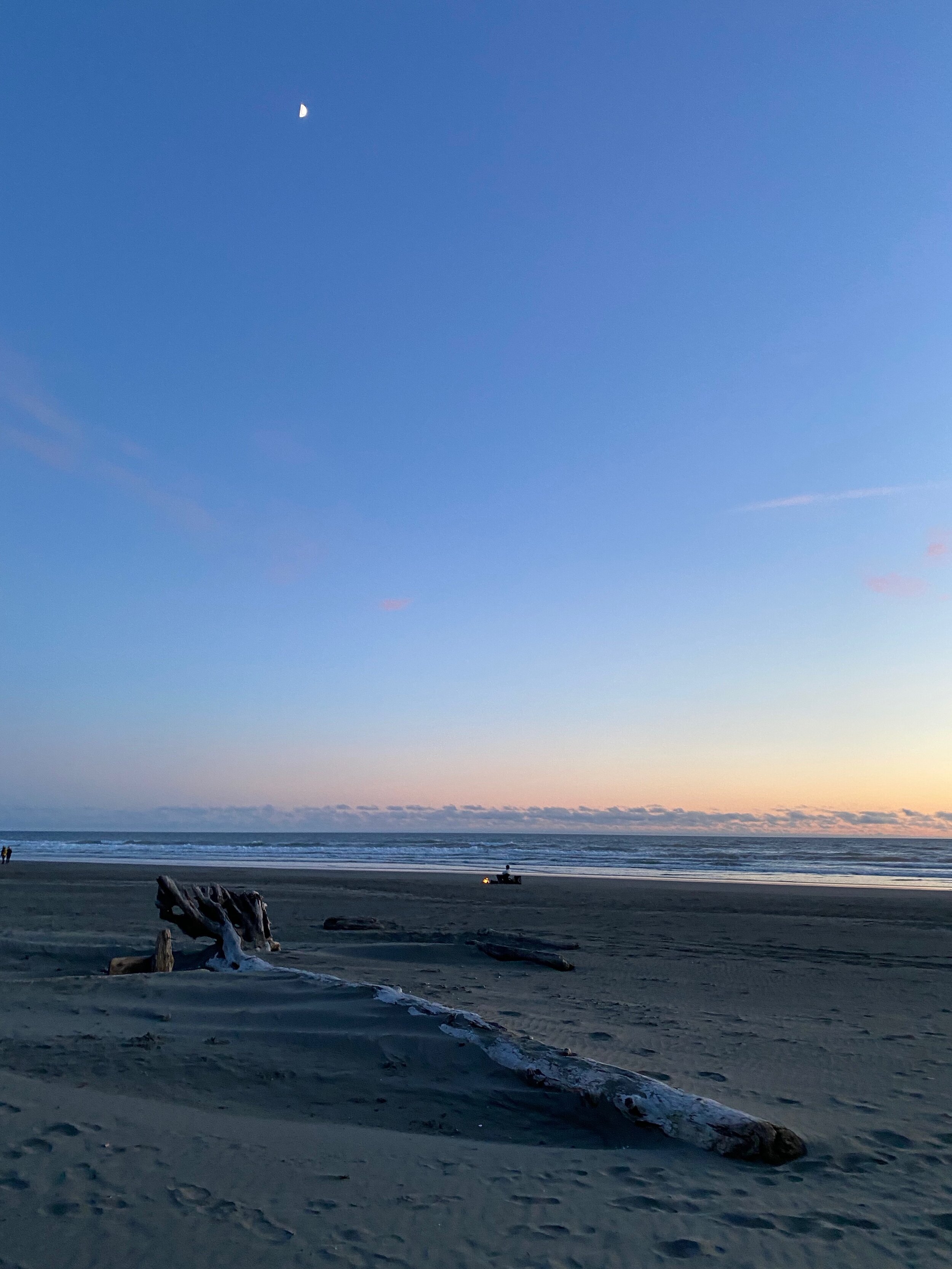 The moon over Kalaloch Beach as the sun sets and our bonfire continues.  A great downed tree turned driftwood in the foreground looks pretty steady as it slowly gets buried in the sand.  