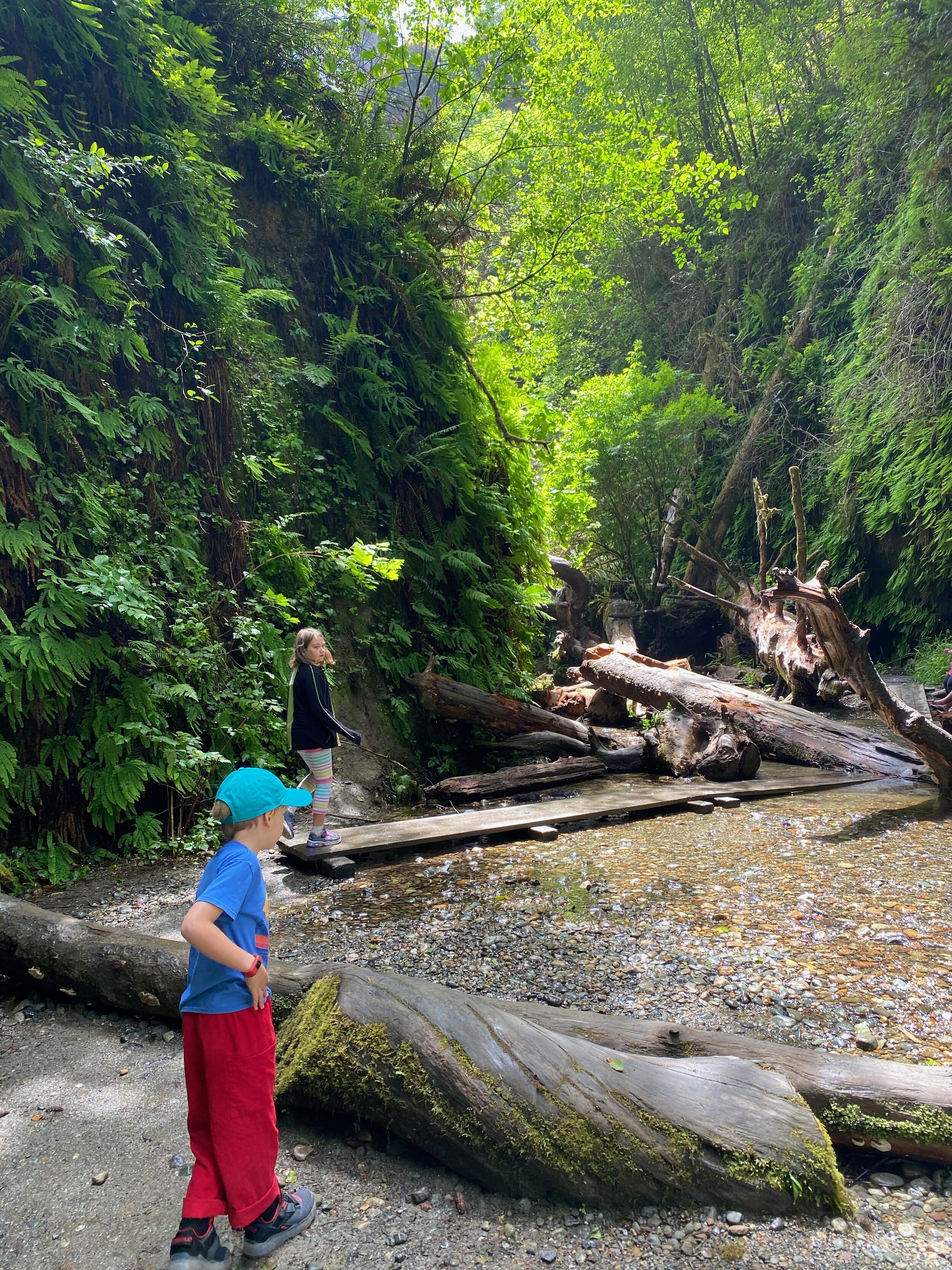 The kids loved the hurdles of Fern Canyon