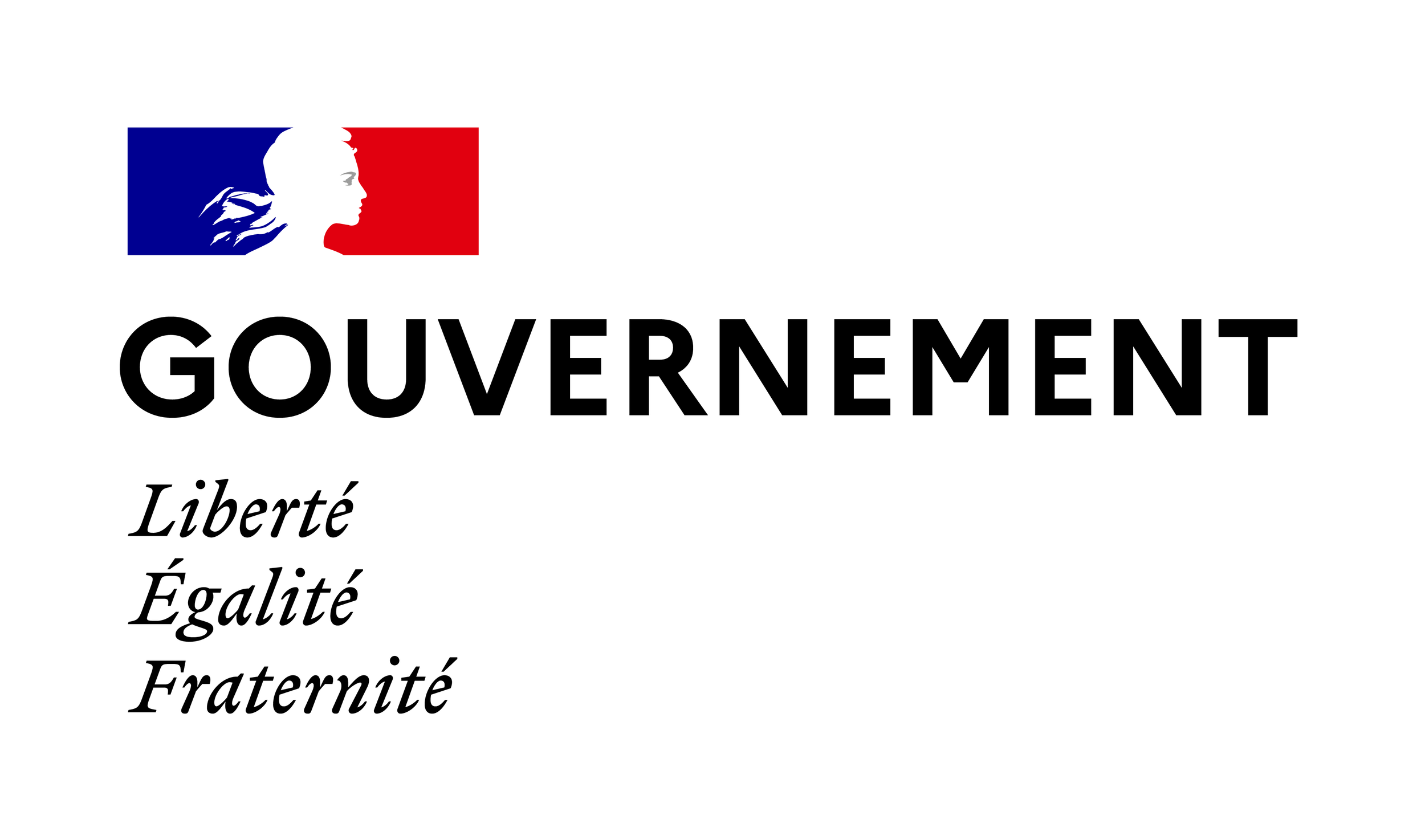 FR gov logo.png