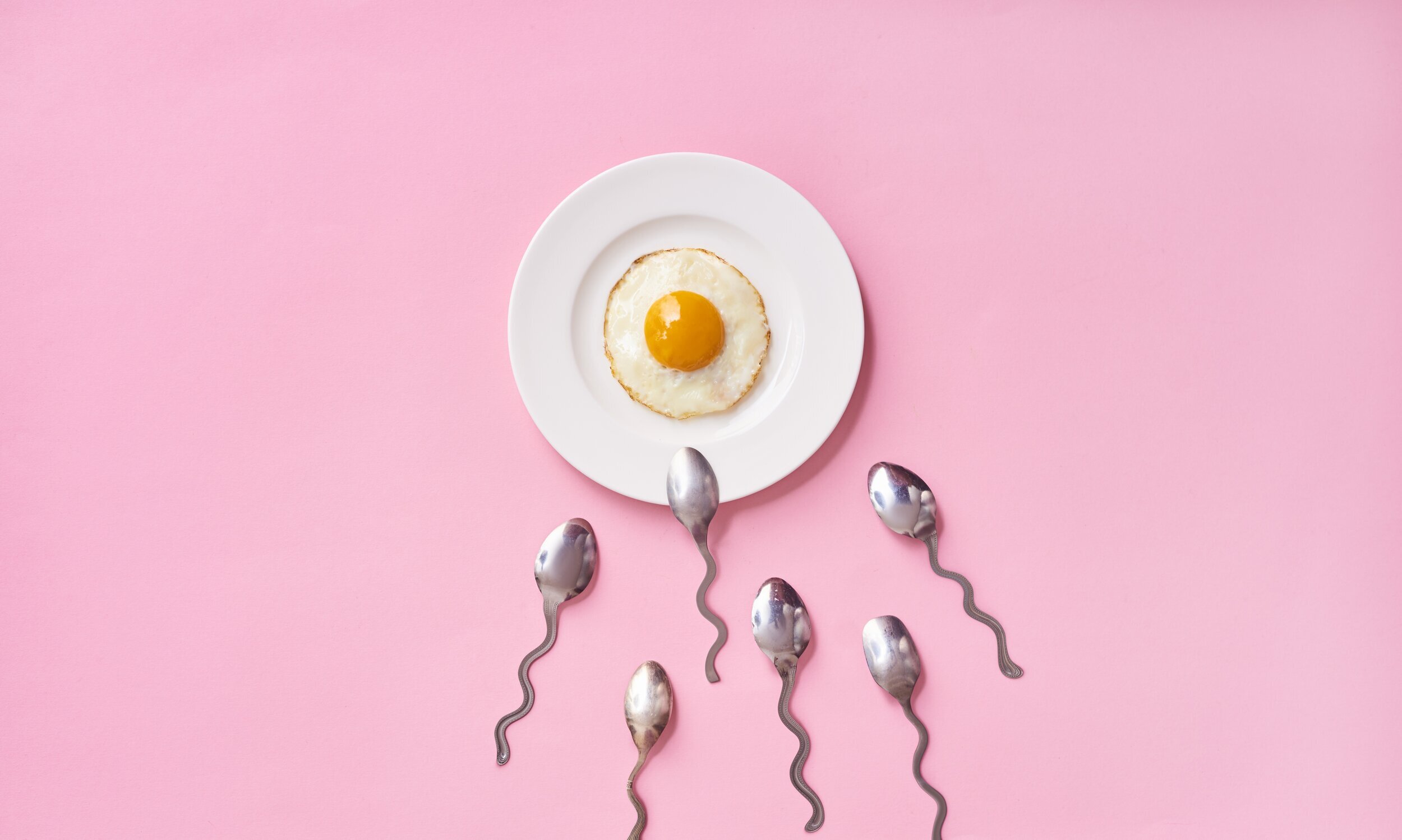 egg on a plate with sperm-shaped spoons perched on the plate