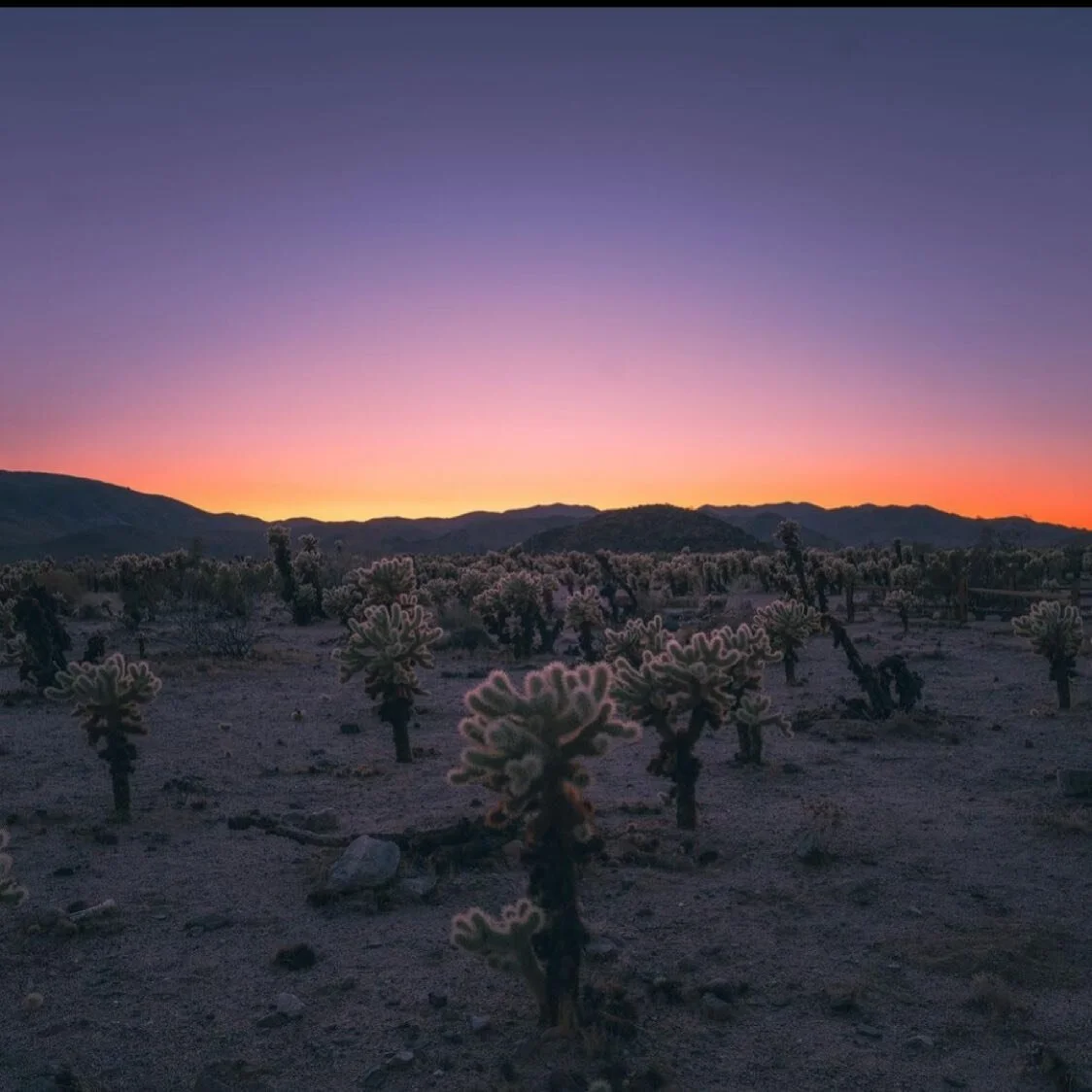 📷 via @chriscucufate