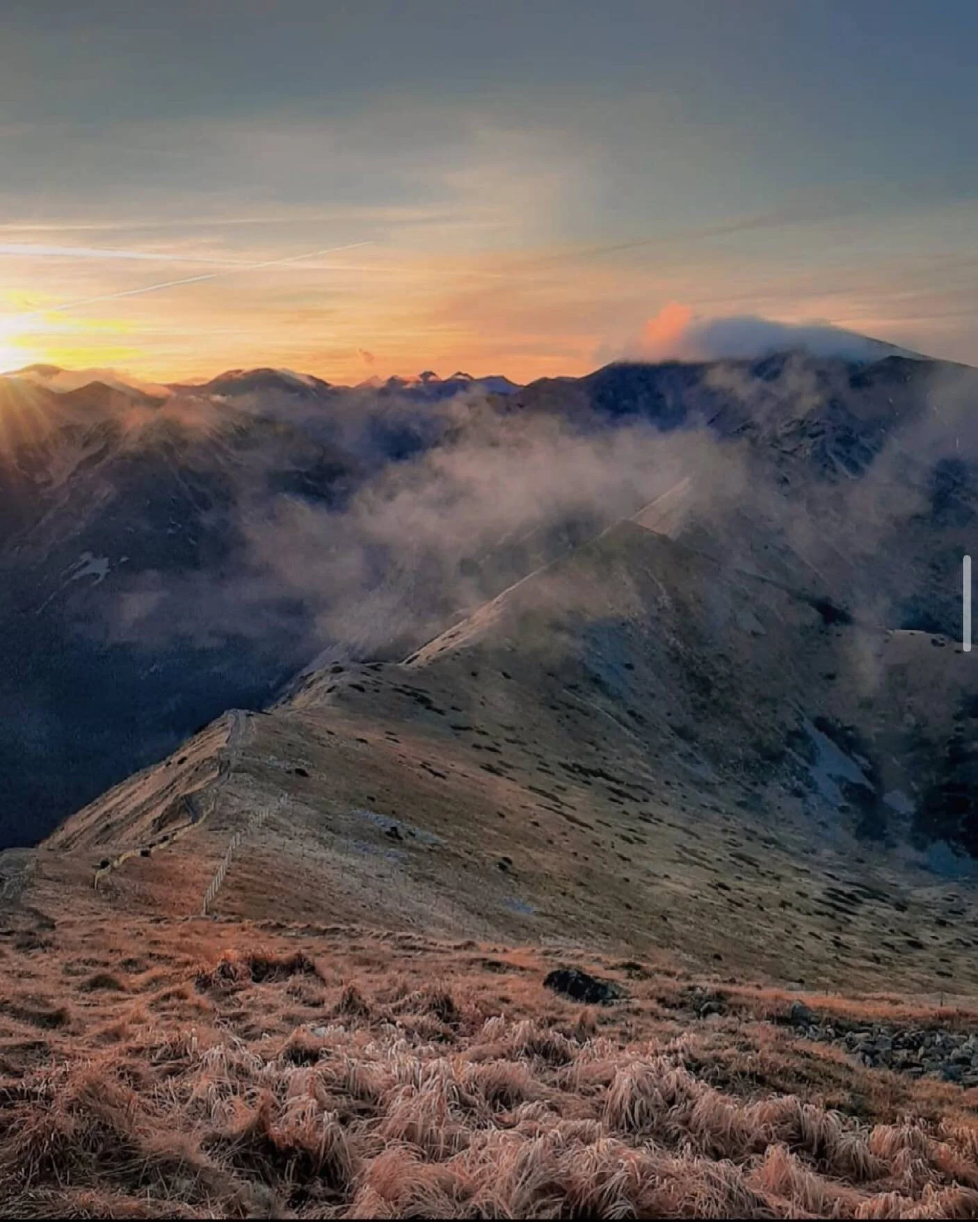 📷 via @dorota_lubas_