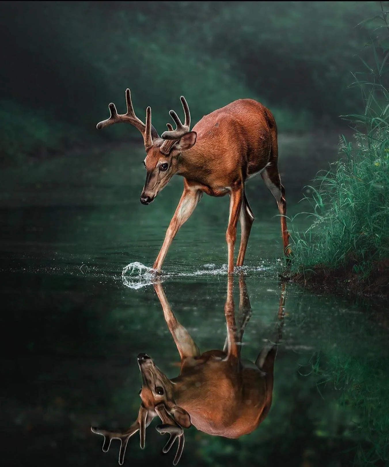 📷 via @earth_deluxe