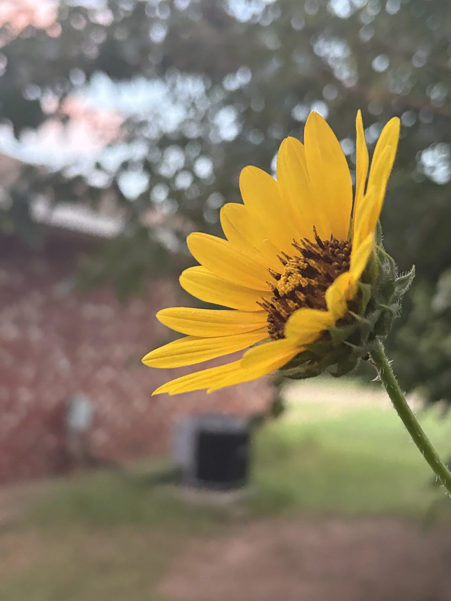 IMG_6435.jpeg