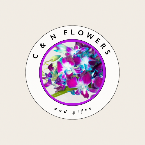 03cdf5fa-ba06-499f-ae47-fbe9353c4ac5.jfif