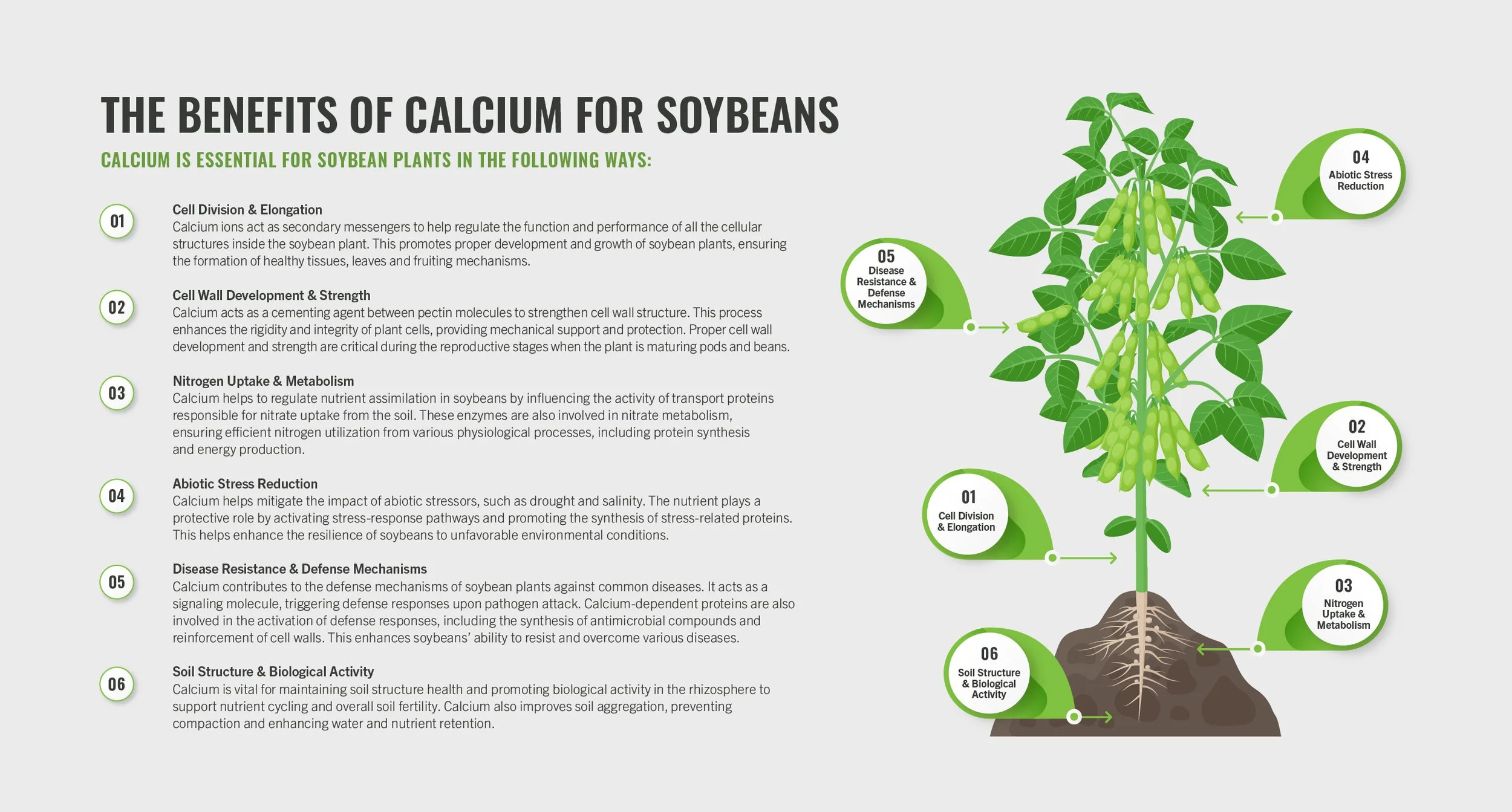 Calcium Clarified Soybeans — SUL4RPLUS