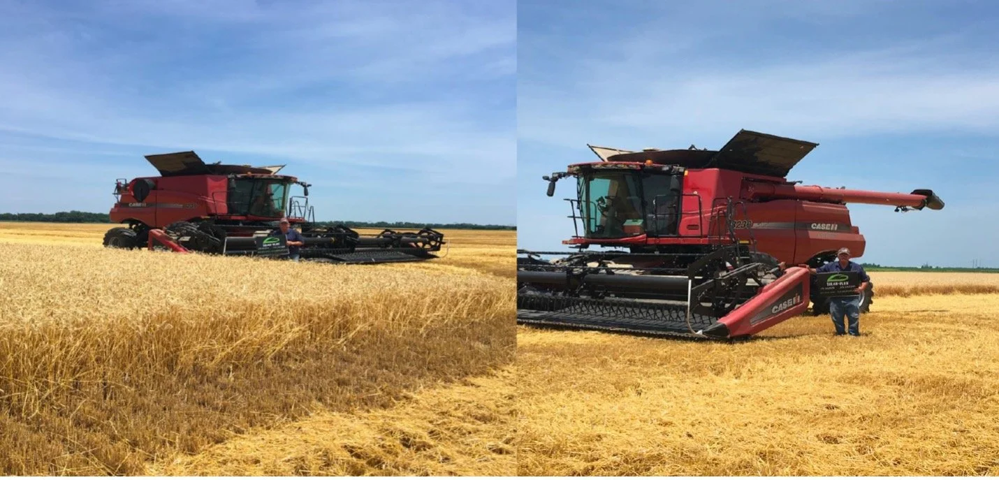 SUL4RPLUS Boost Your Winter Wheat Production with Our Fertilizers