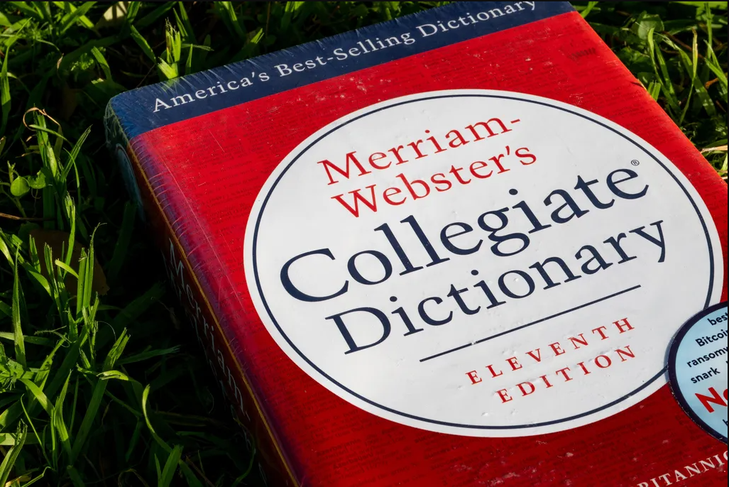 Basically, the Dictionary Definition of “AI Lawsuit”