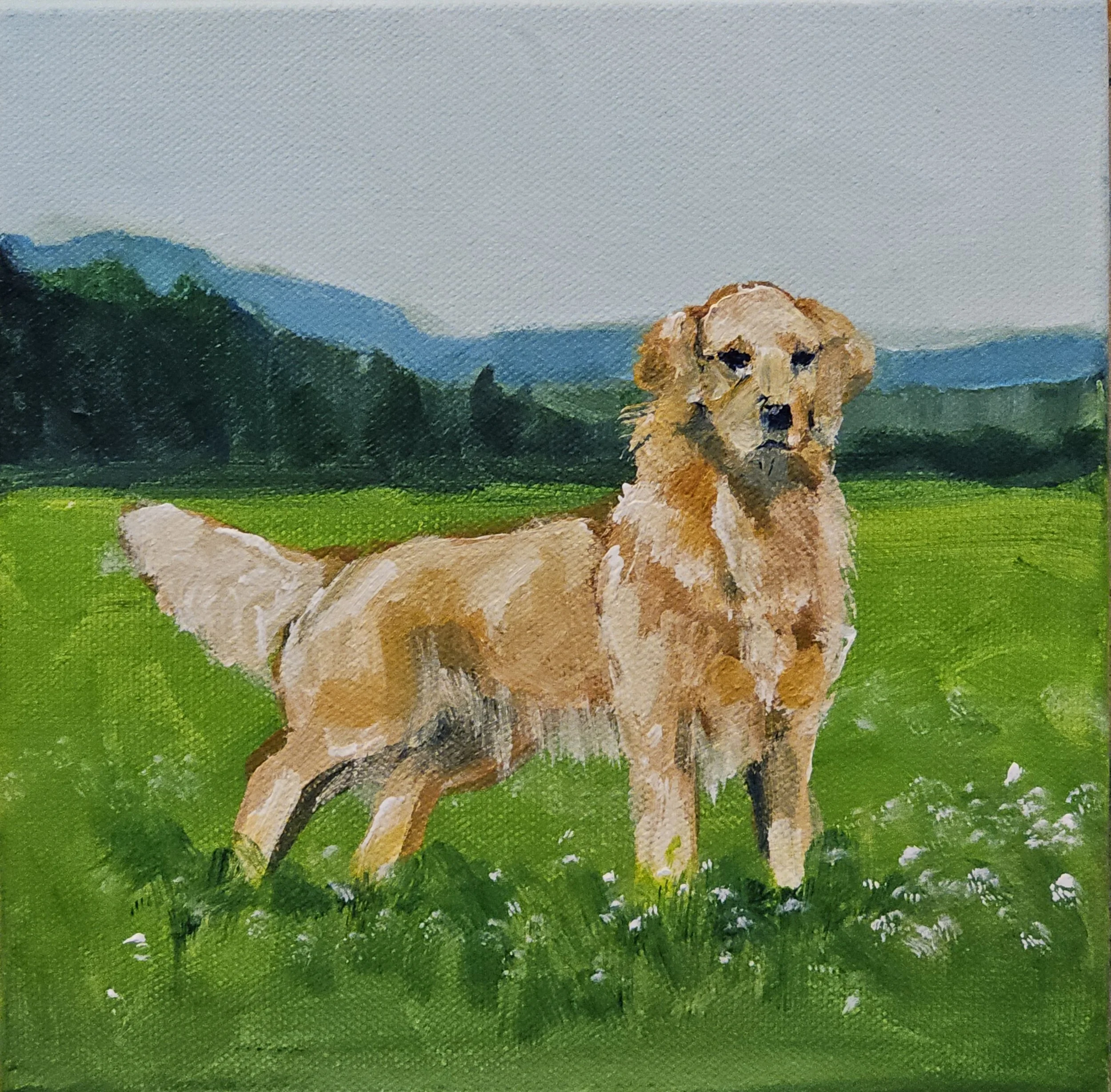 goldenretriever.jpg
