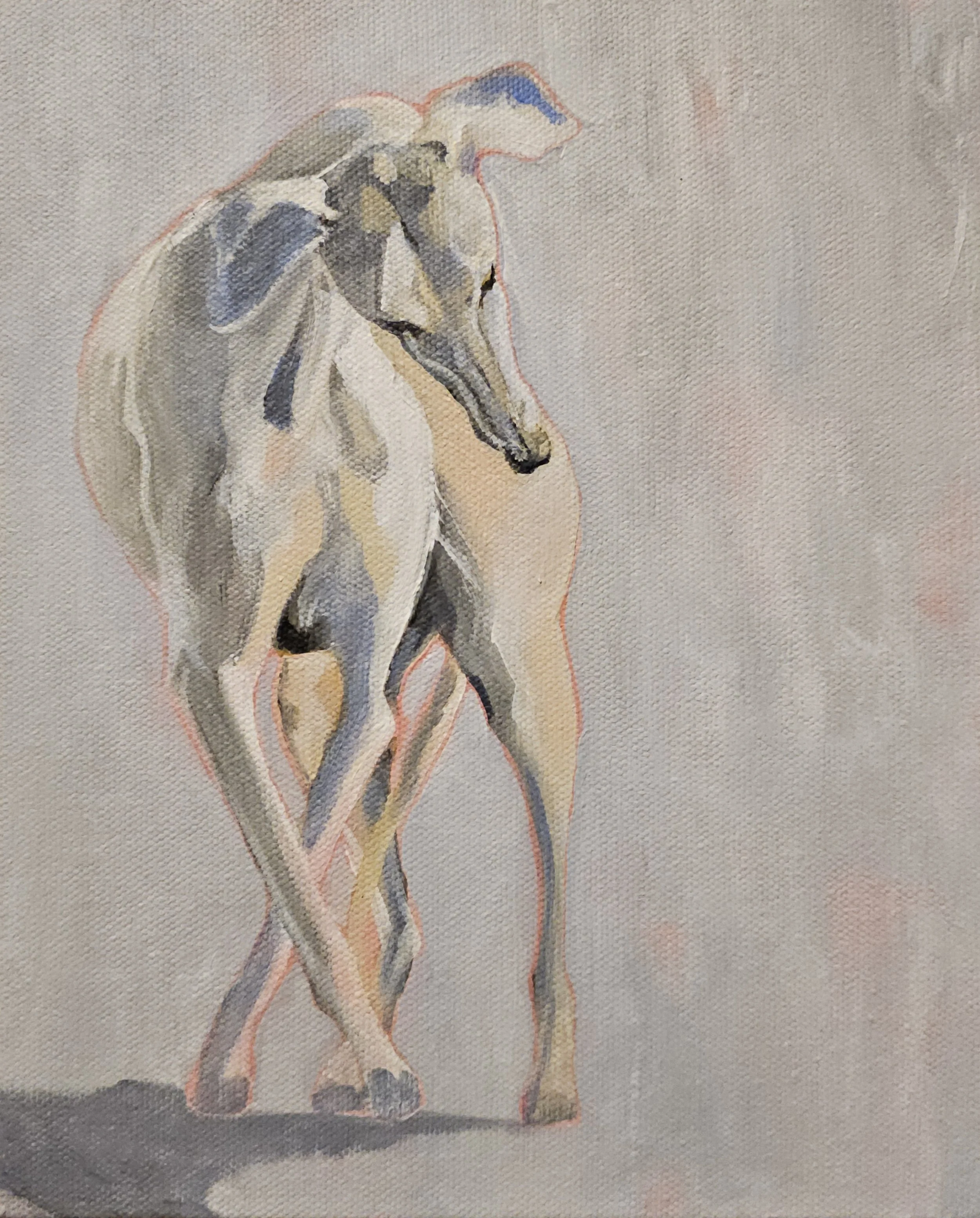 greyhound.jpg