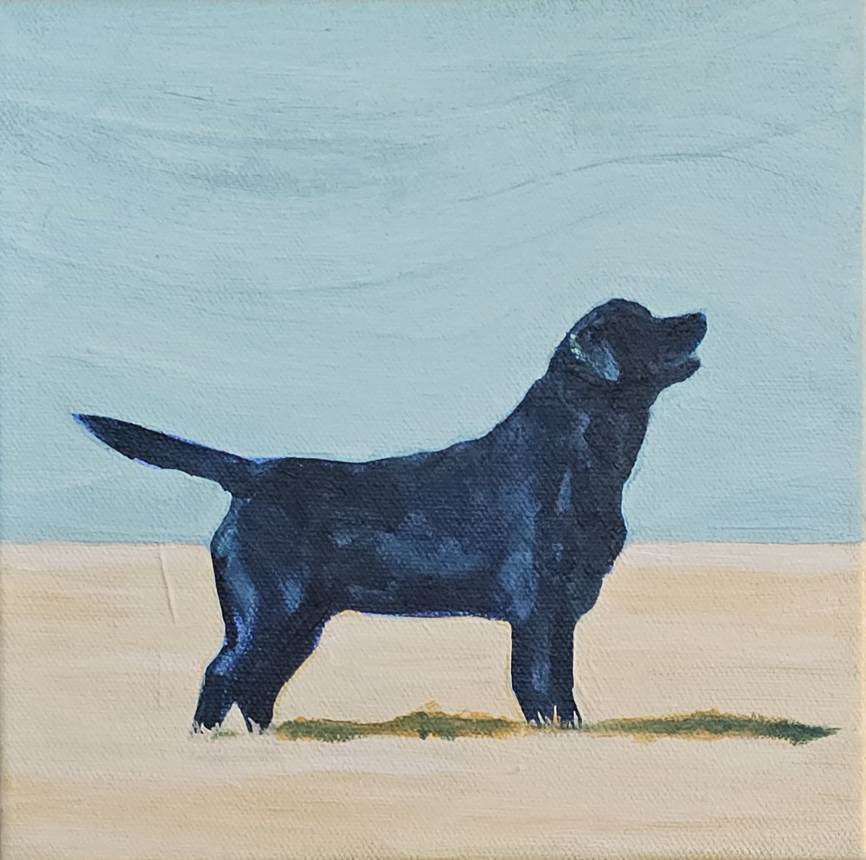 blacklab.jpg