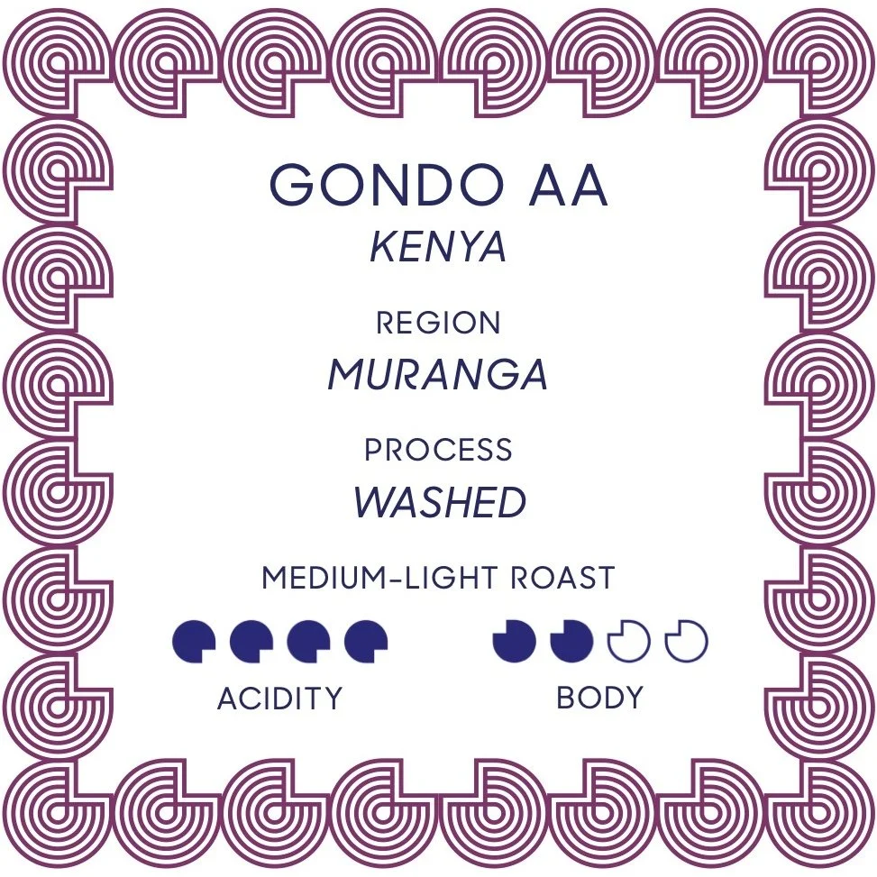 GONDO AA - SQUARE.jpg