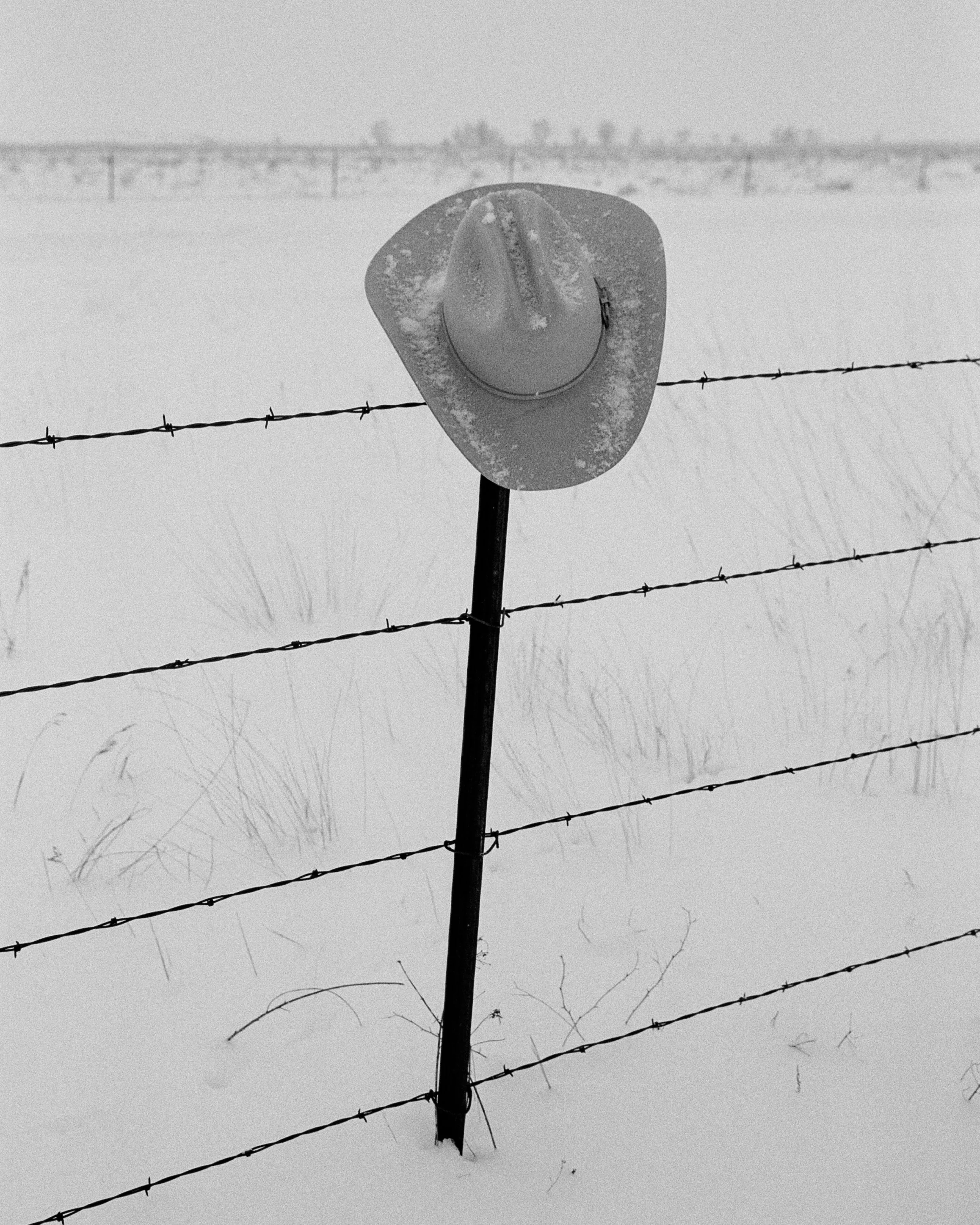WINTER_COLLECTION_POST4_3.jpg