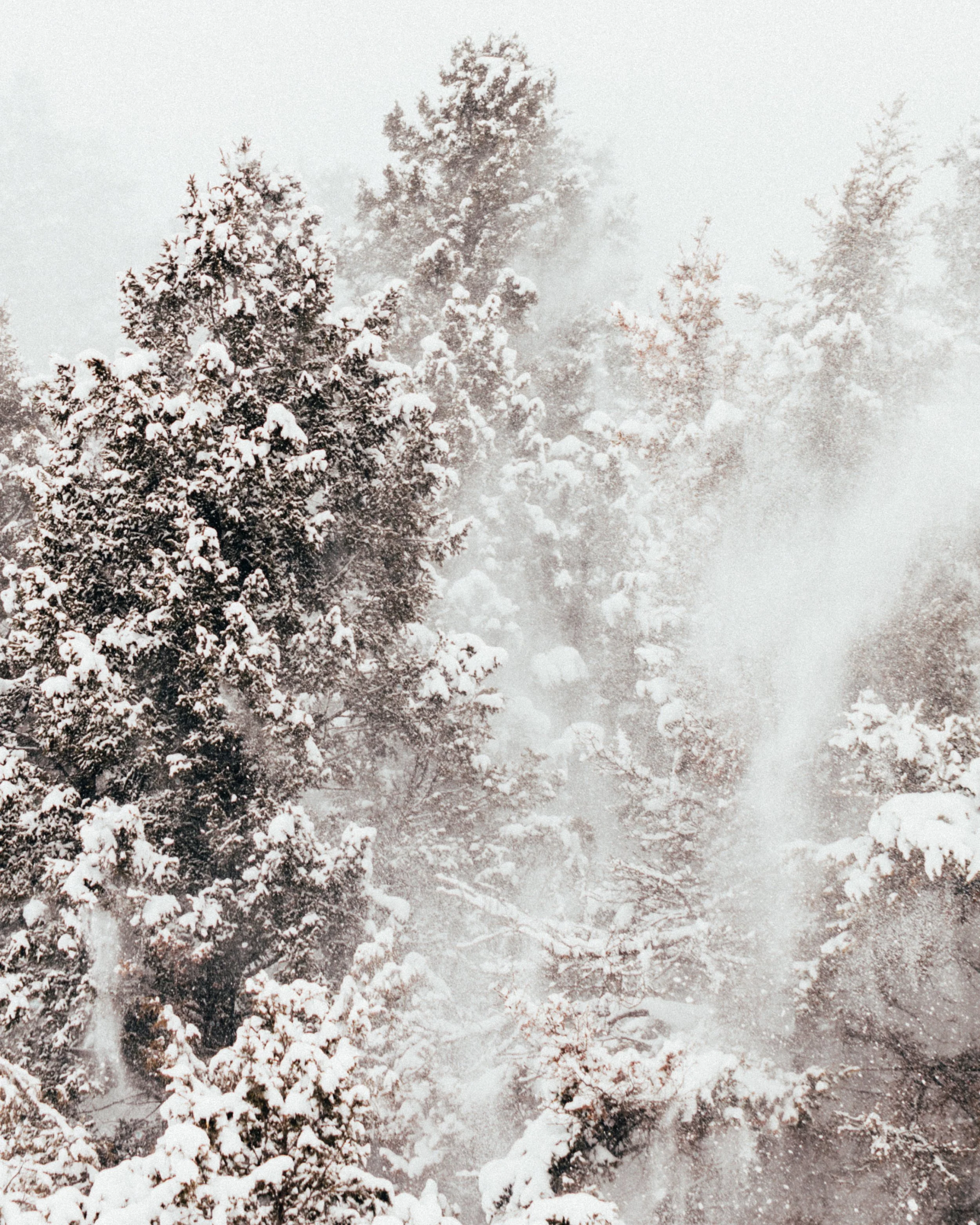 WINTER_COLLECTION_POST5_5.jpg
