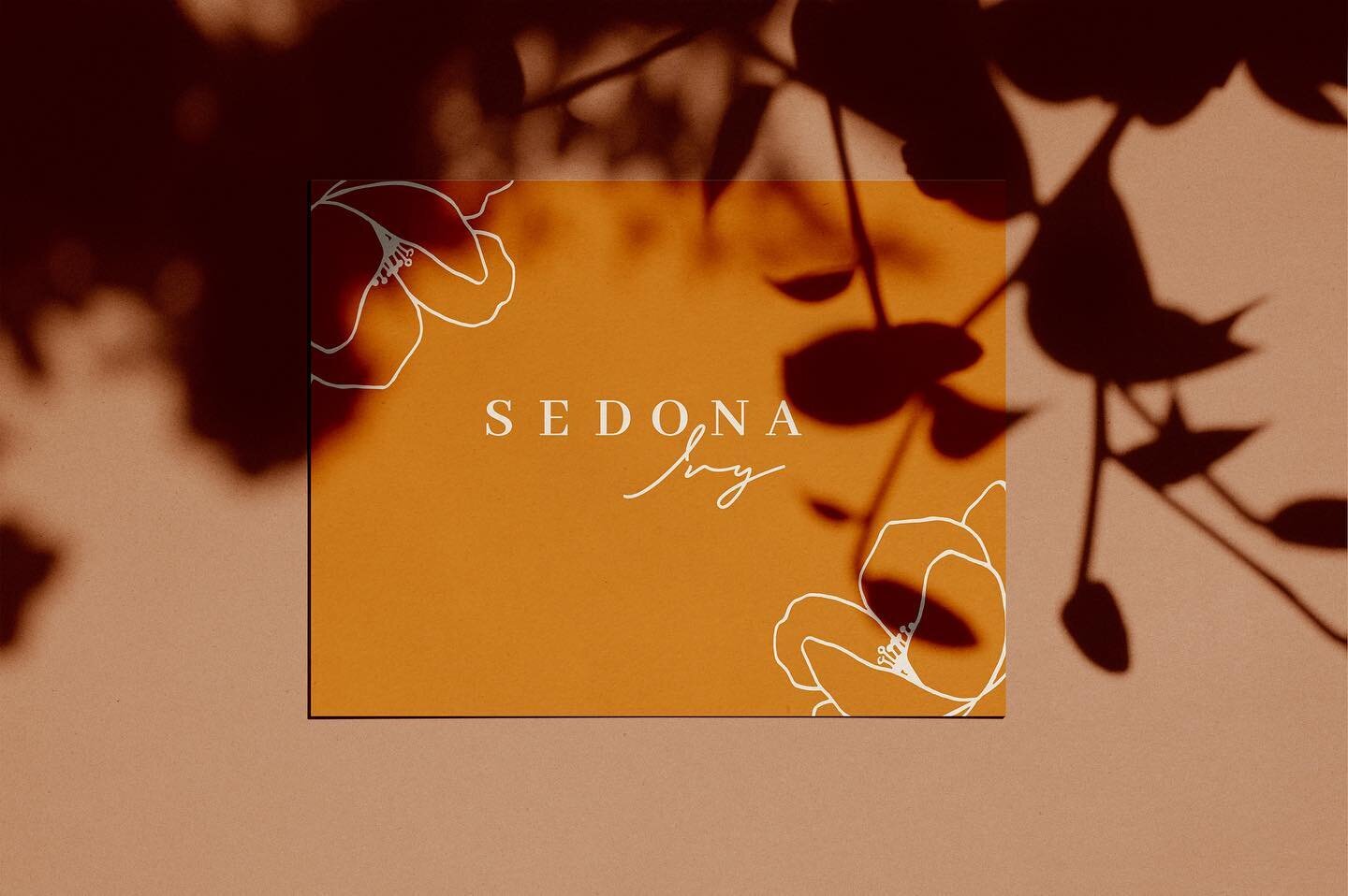 I will always be obsessed with these delicate floral illustrations for this modern boho + feminine brand.&nbsp;Today I&rsquo;m soaking up the sun &amp; dreaming of warm summer afternoons 🌞

We had a pretty crazy winter storm that hit here in Texas t