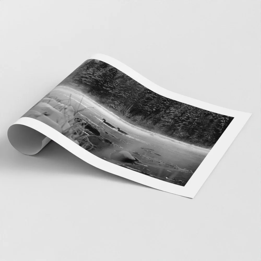 prodigi-GLOBAL-FAP-A0-size_a0-papertype_ema-substrateweight_200gsm (1).jpg