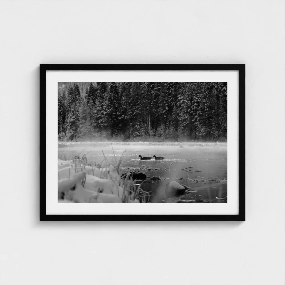 prodigi-GLOBAL-CFP-18X24-framecolour_black-style_framed print _ non-mounted _ perspex-glaze_acrylic _ perspex-frame_classic-papertype_ema-substrateweight_200gsm-mount_no mount _ mat.jpg