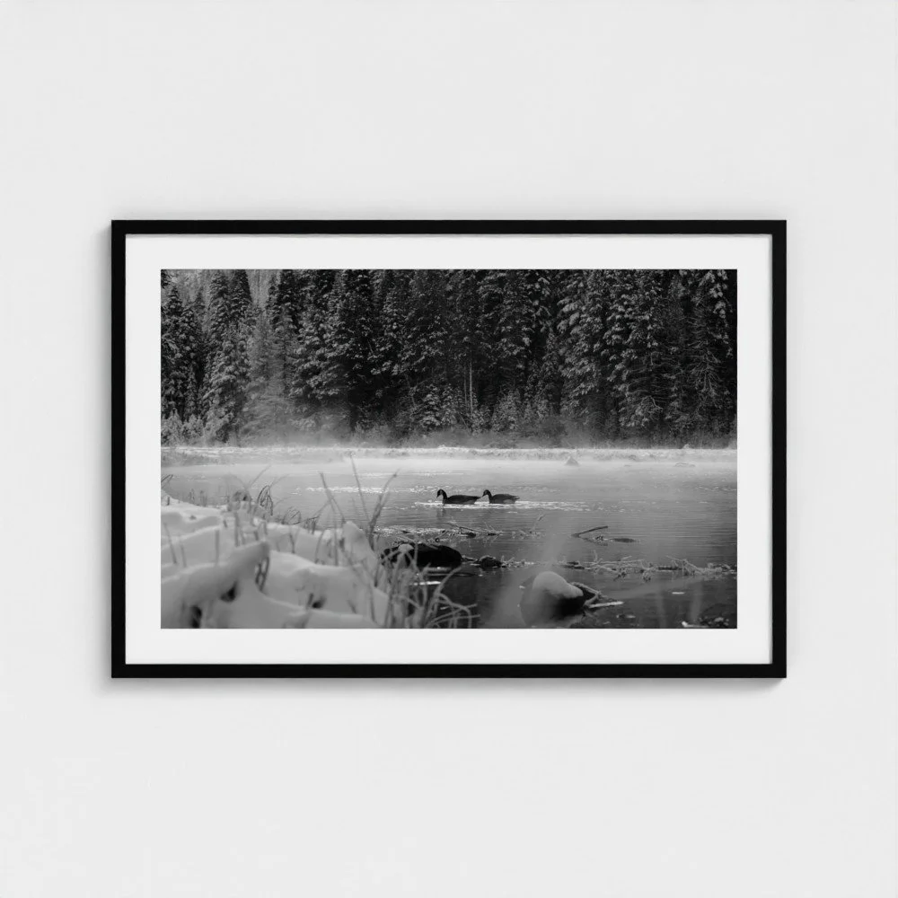 prodigi-GLOBAL-CFP-24X36-framecolour_black-style_framed print _ non-mounted _ perspex-glaze_acrylic _ perspex-frame_classic-papertype_ema-substrateweight_200gsm-mount_no mount _ mat.jpg