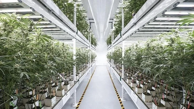 Photograph: Fluence Bioengineering