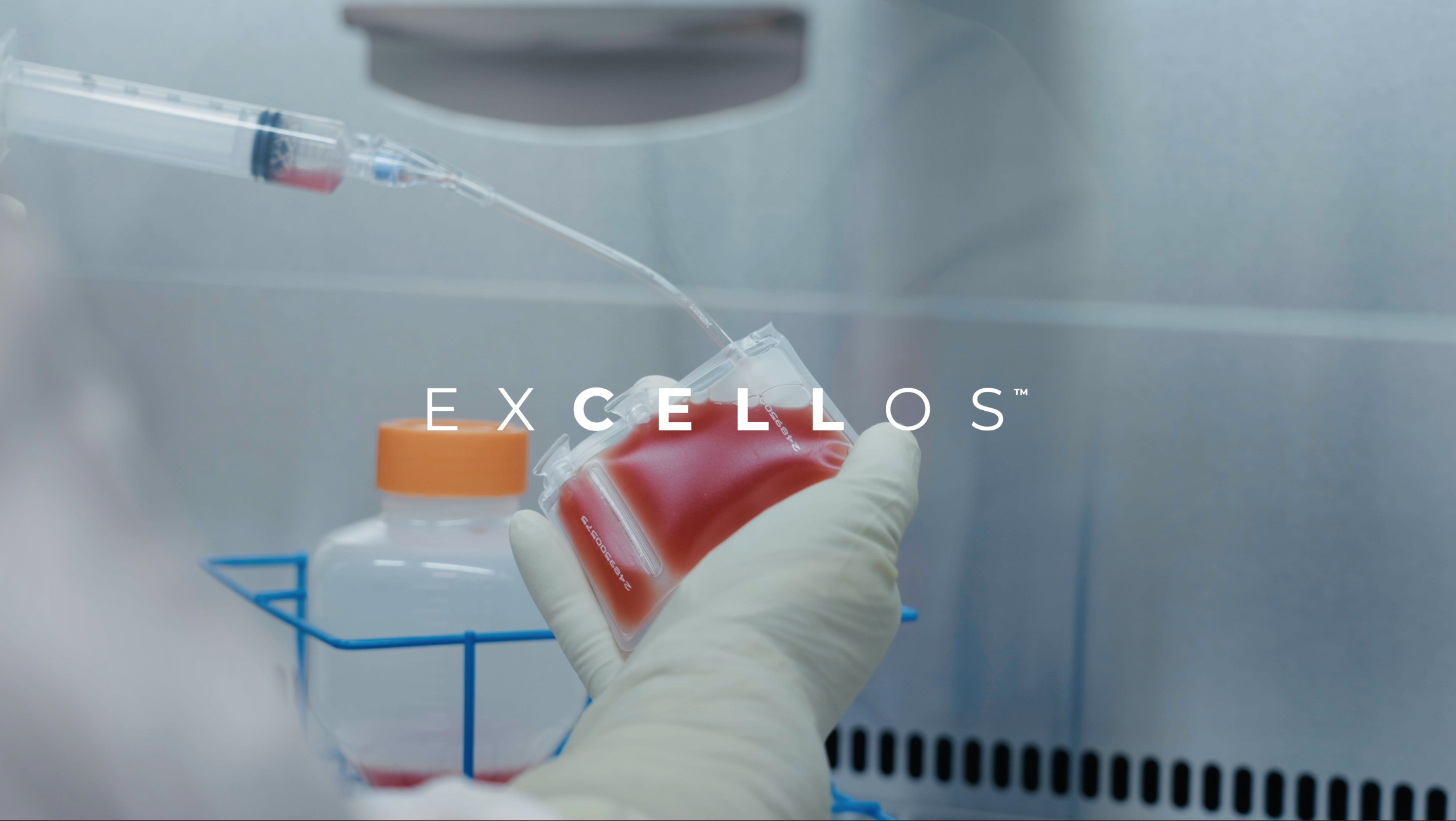 Excellos | Brand Story