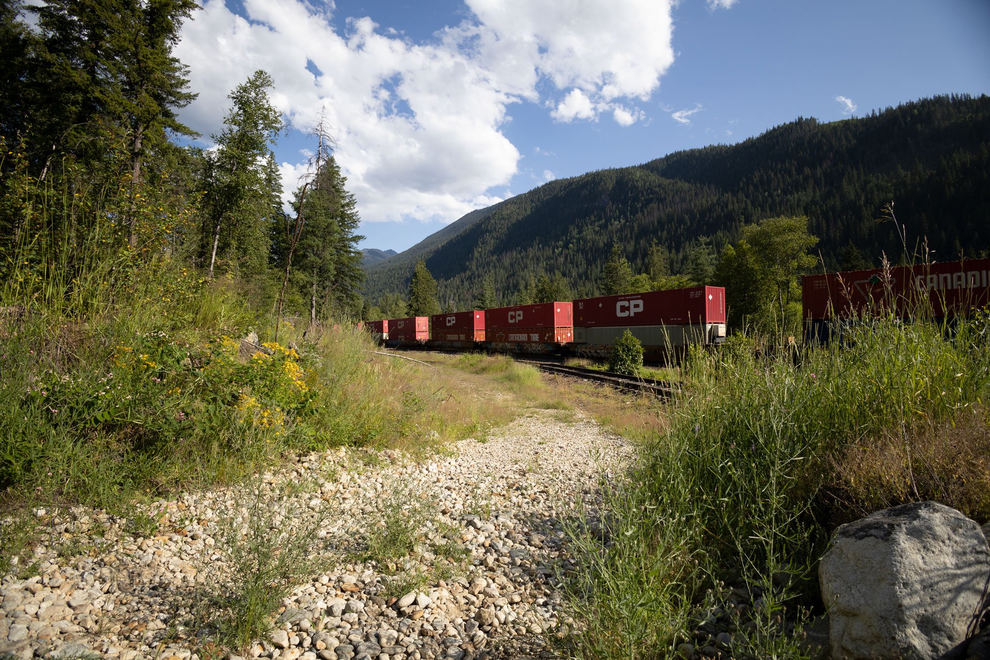 Crazy-Creek-Train.jpg