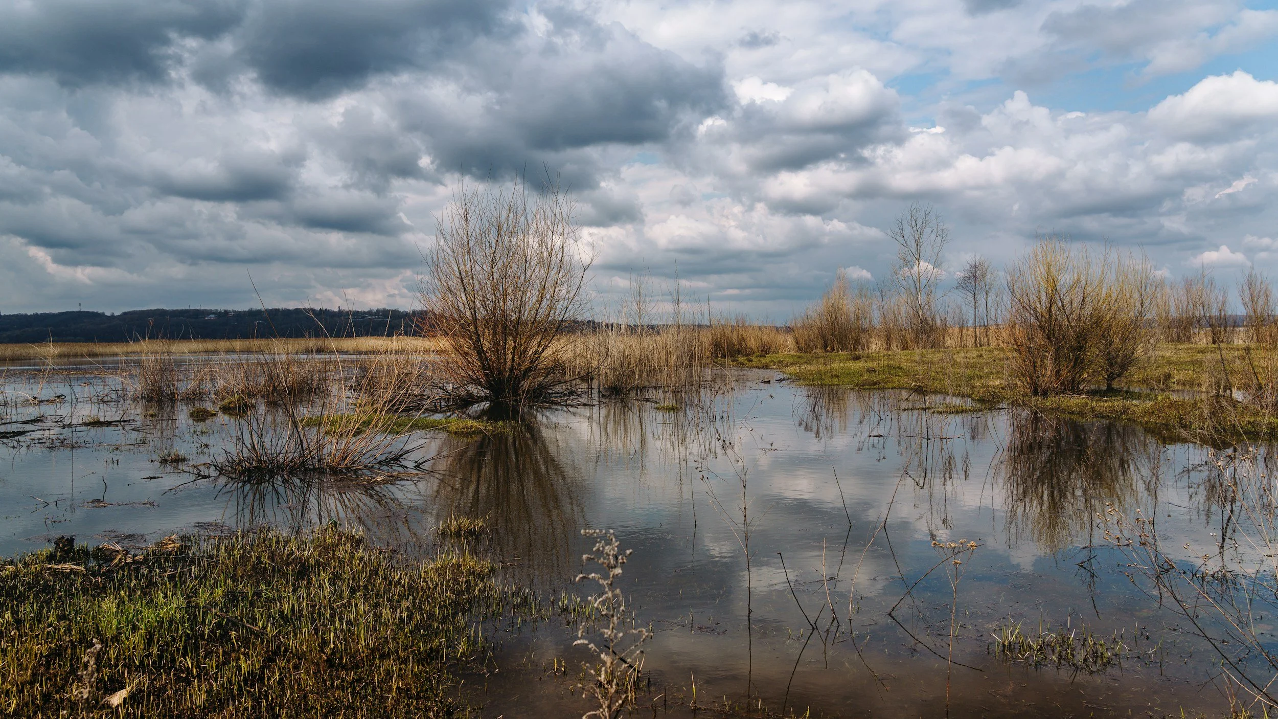 Flooded field referencing survivor's guilt in Noah Kahan's All Them Horses.